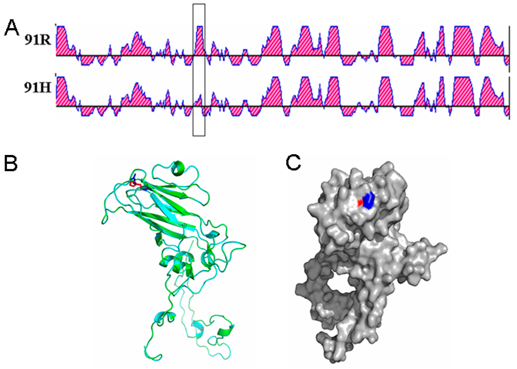 Viruses 13 02174 g006 550