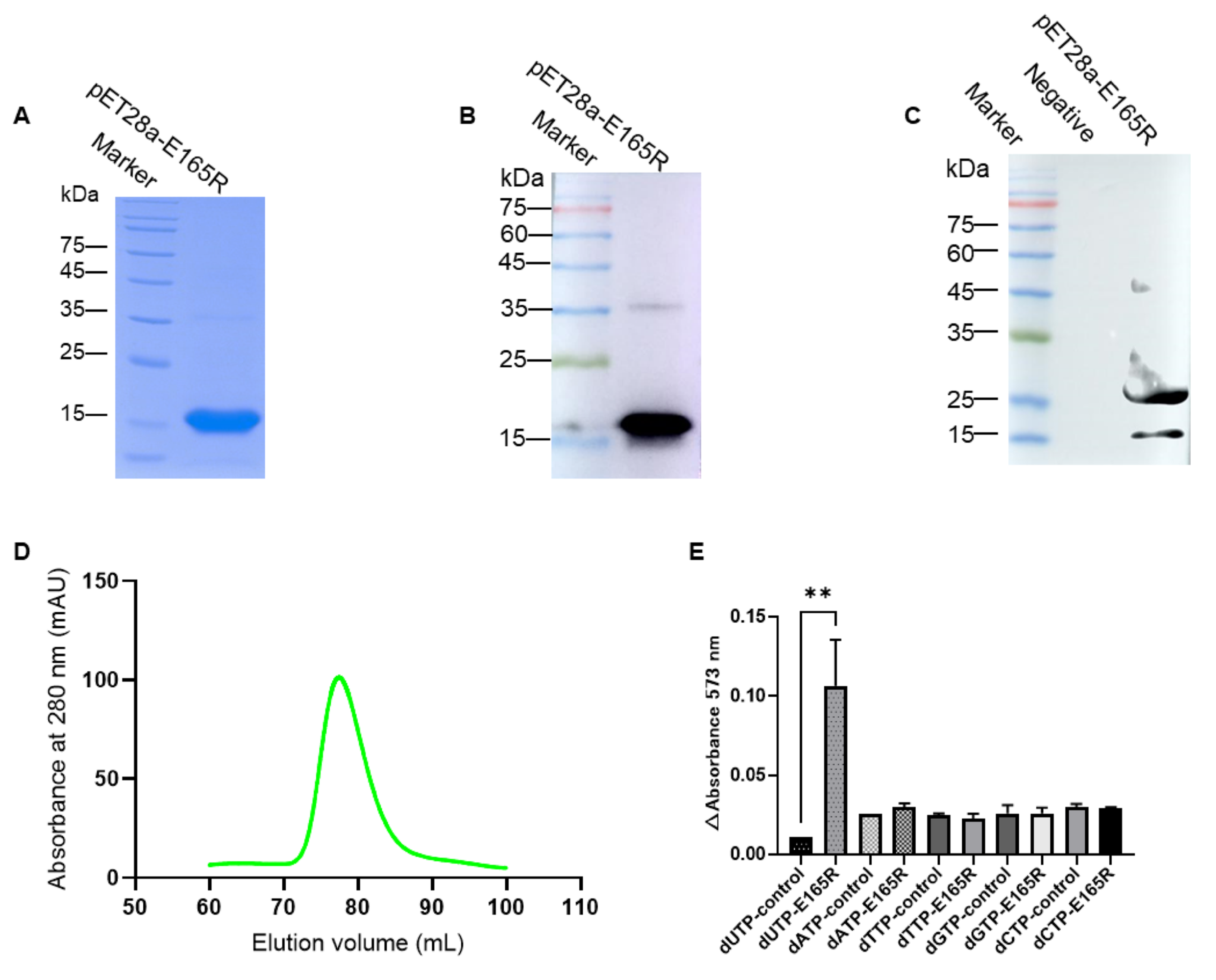 Viruses 13 02175 g001