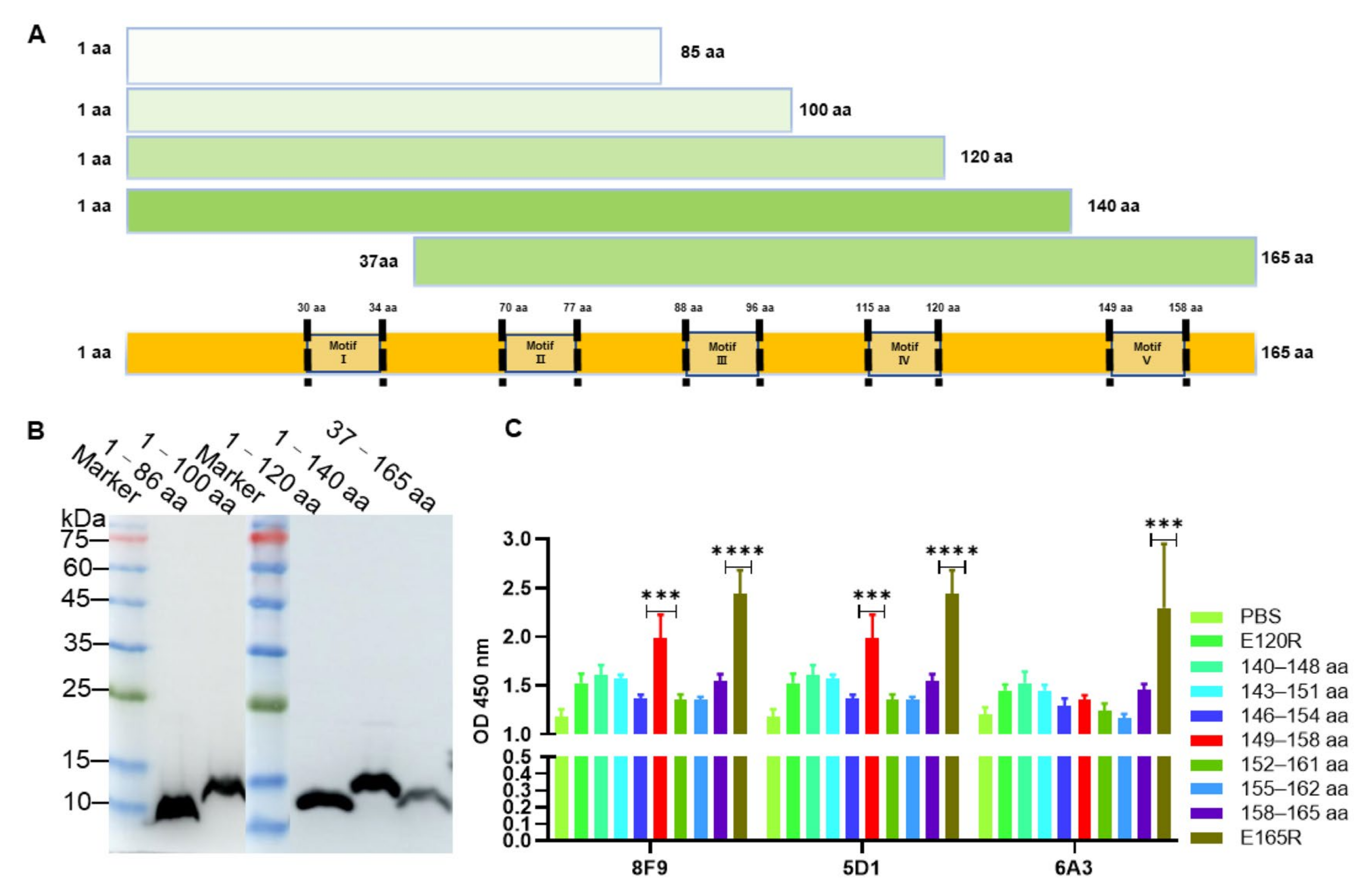 Viruses 13 02175 g003