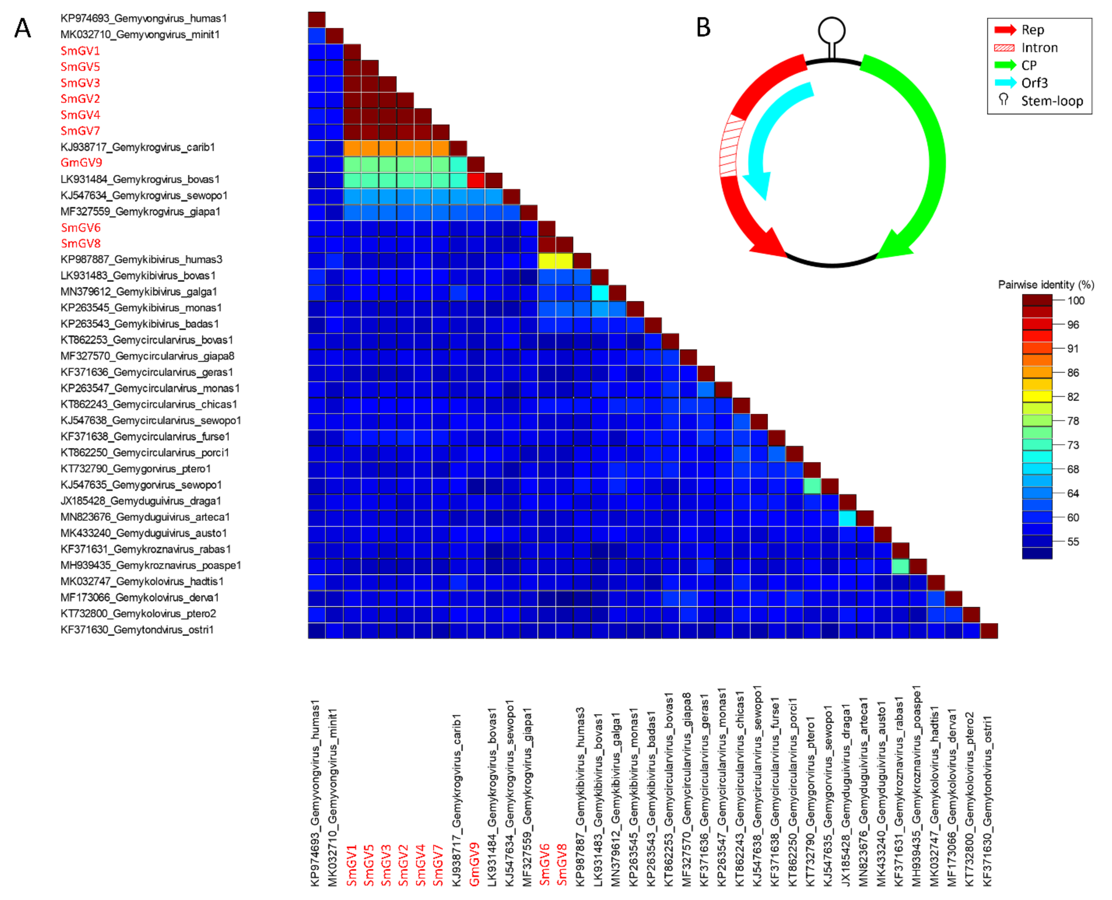 Viruses 13 02176 g001