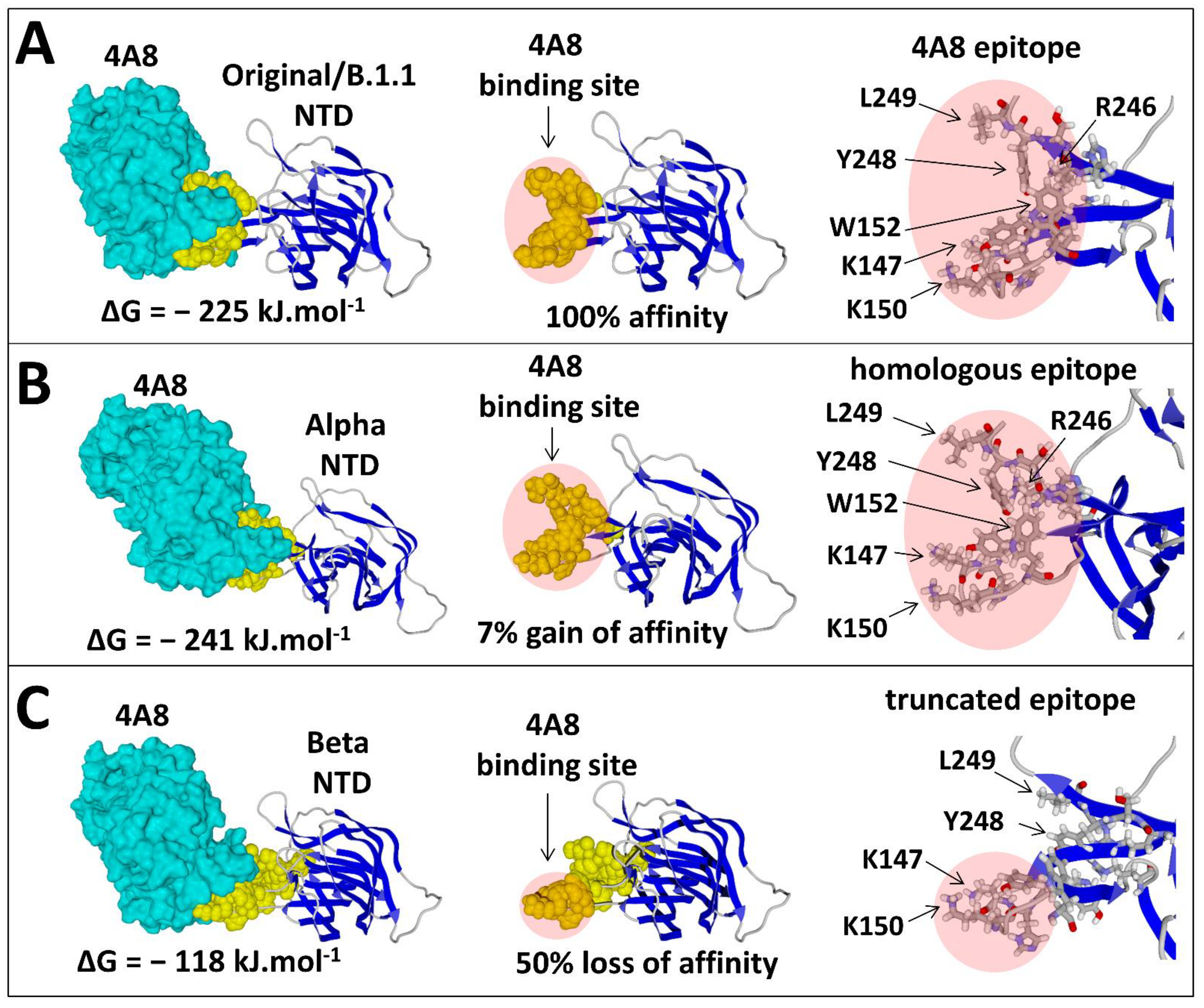 Viruses 13 02177 g007