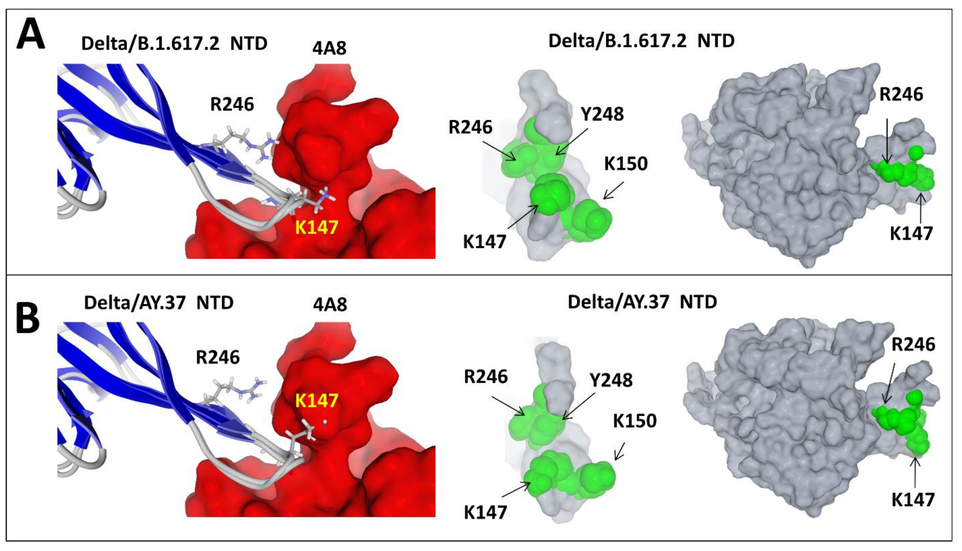 Viruses 13 02177 g008