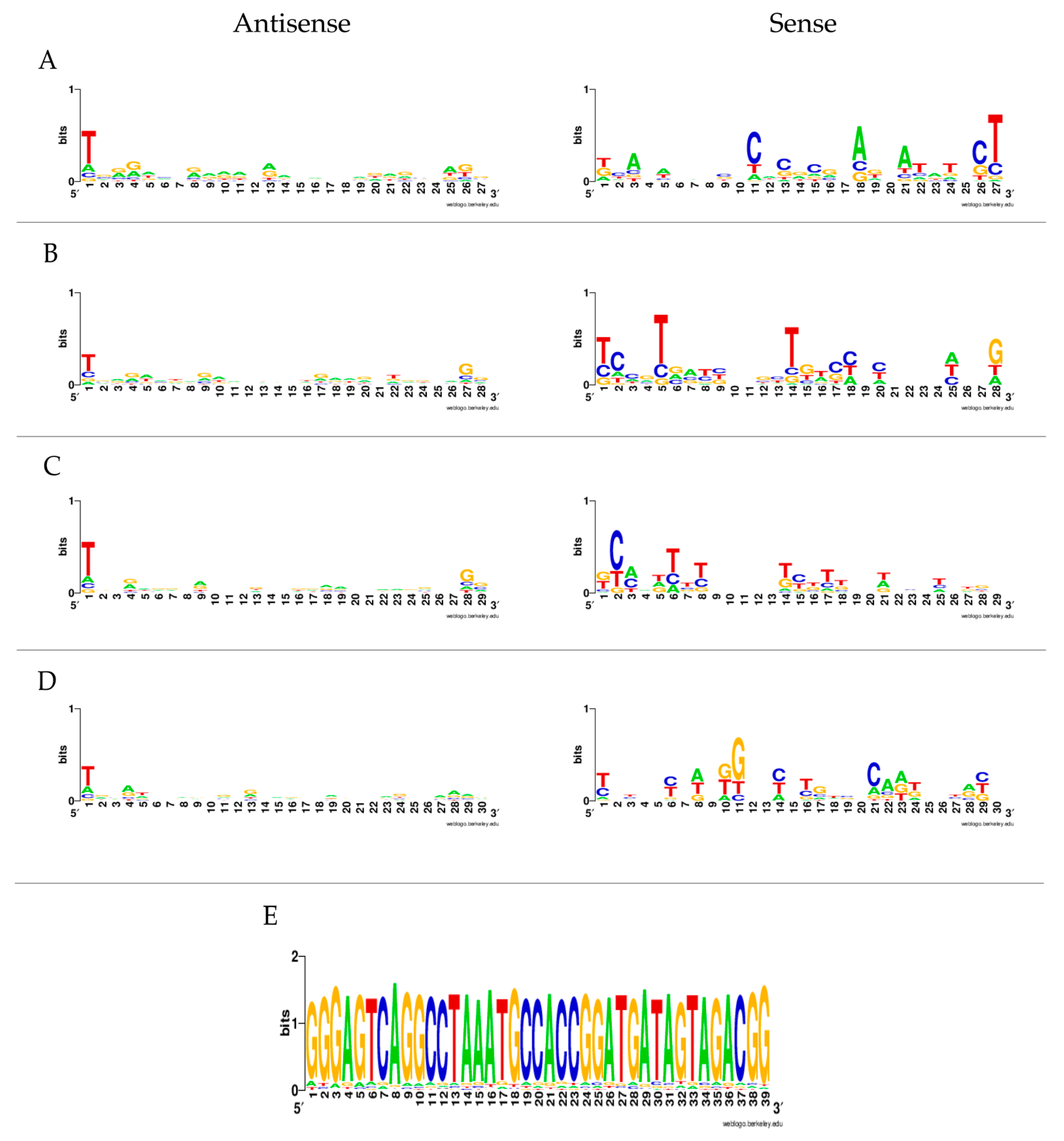 Viruses 13 02181 g004