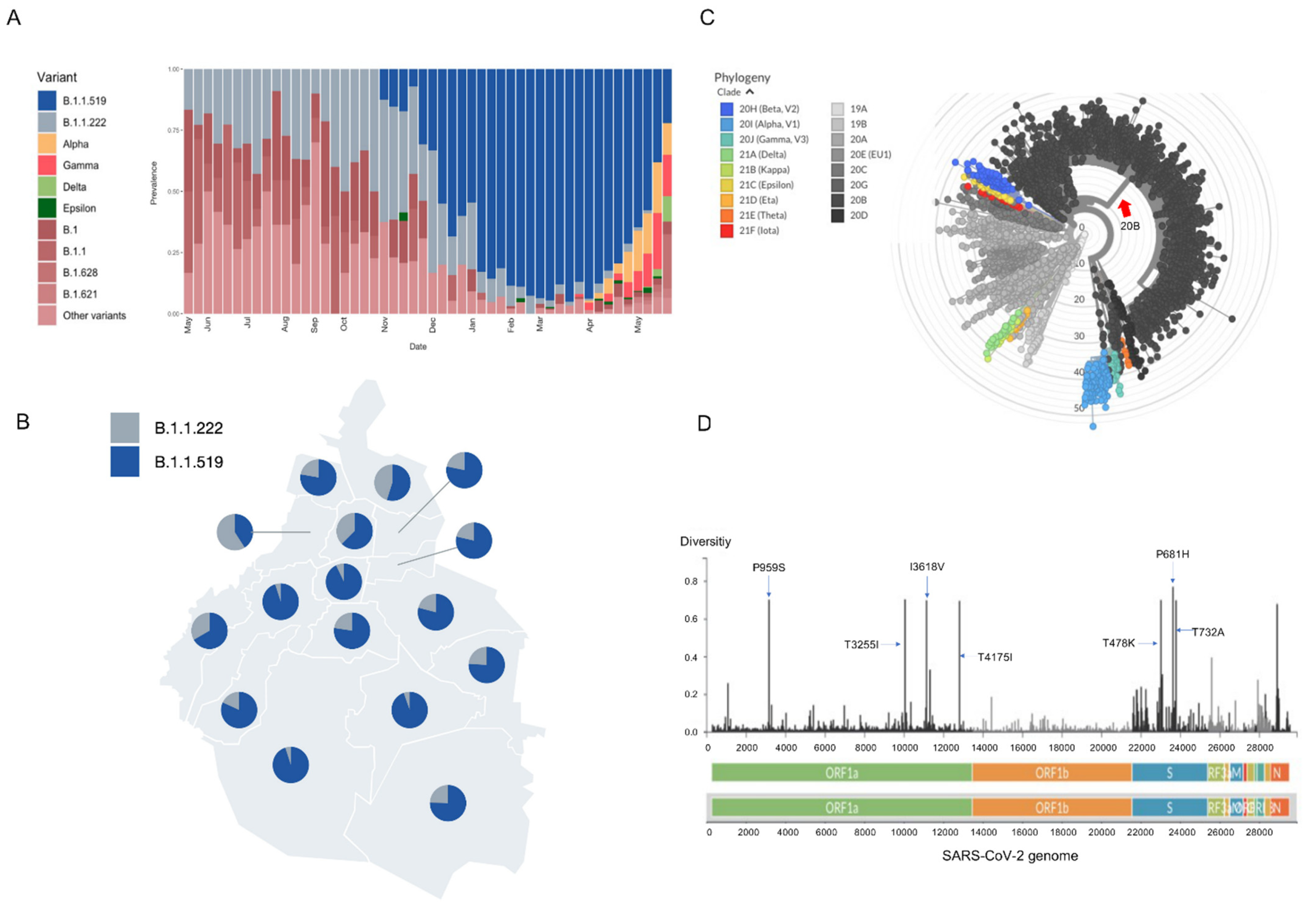 Viruses 13 02182 g001