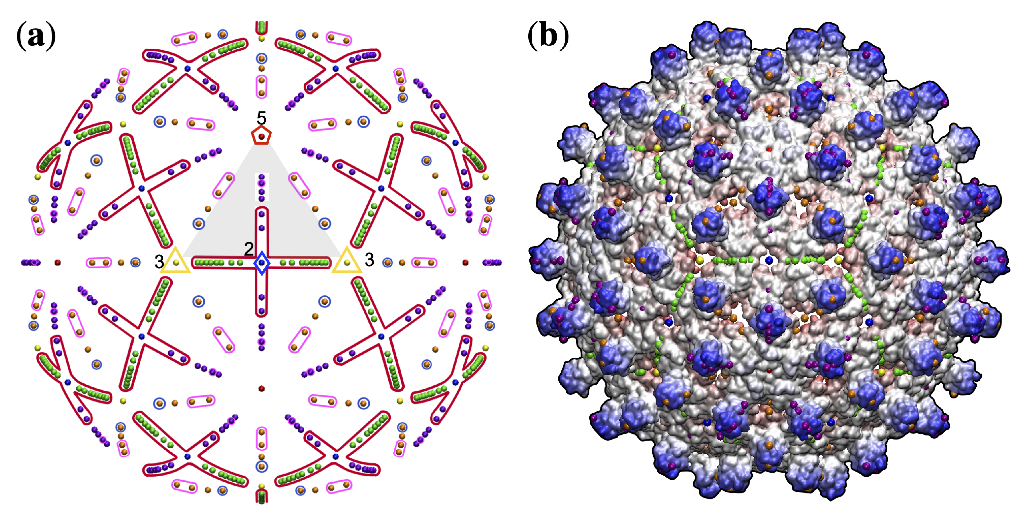 Viruses 13 02191 g003 Viruses 13 02191 g003