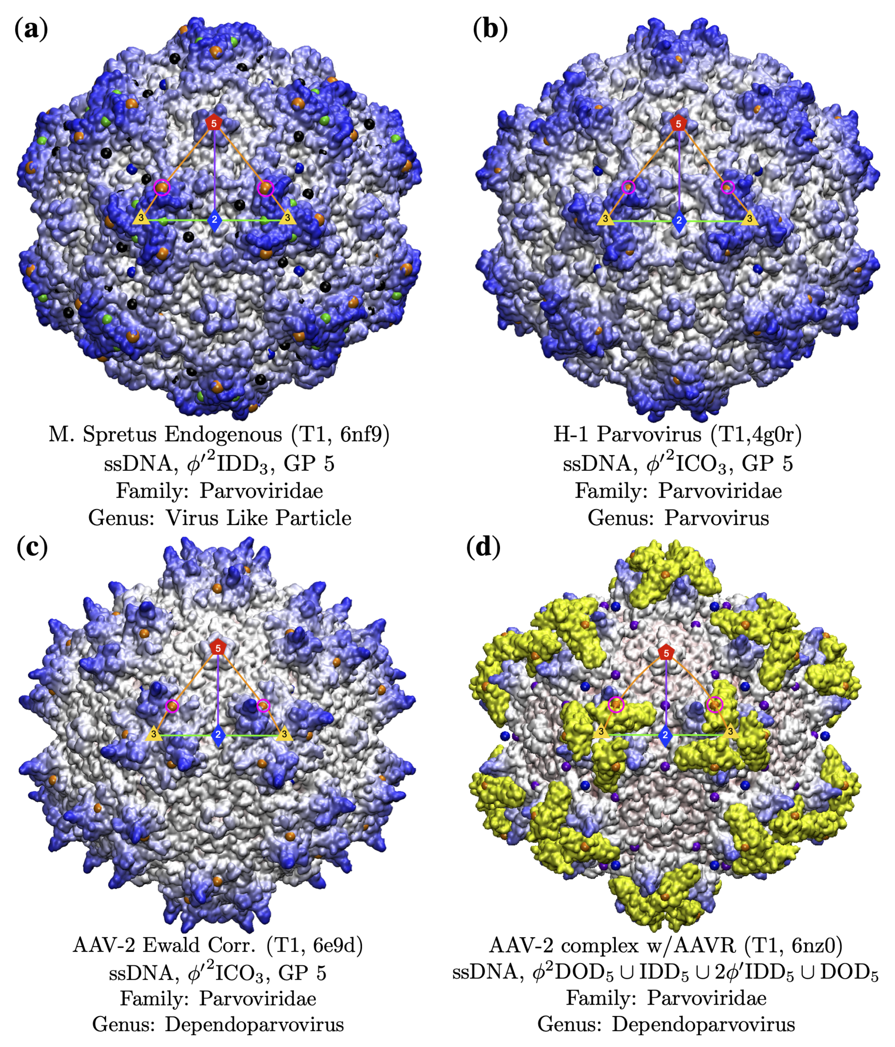 Viruses 13 02191 g009 Viruses 13 02191 g009