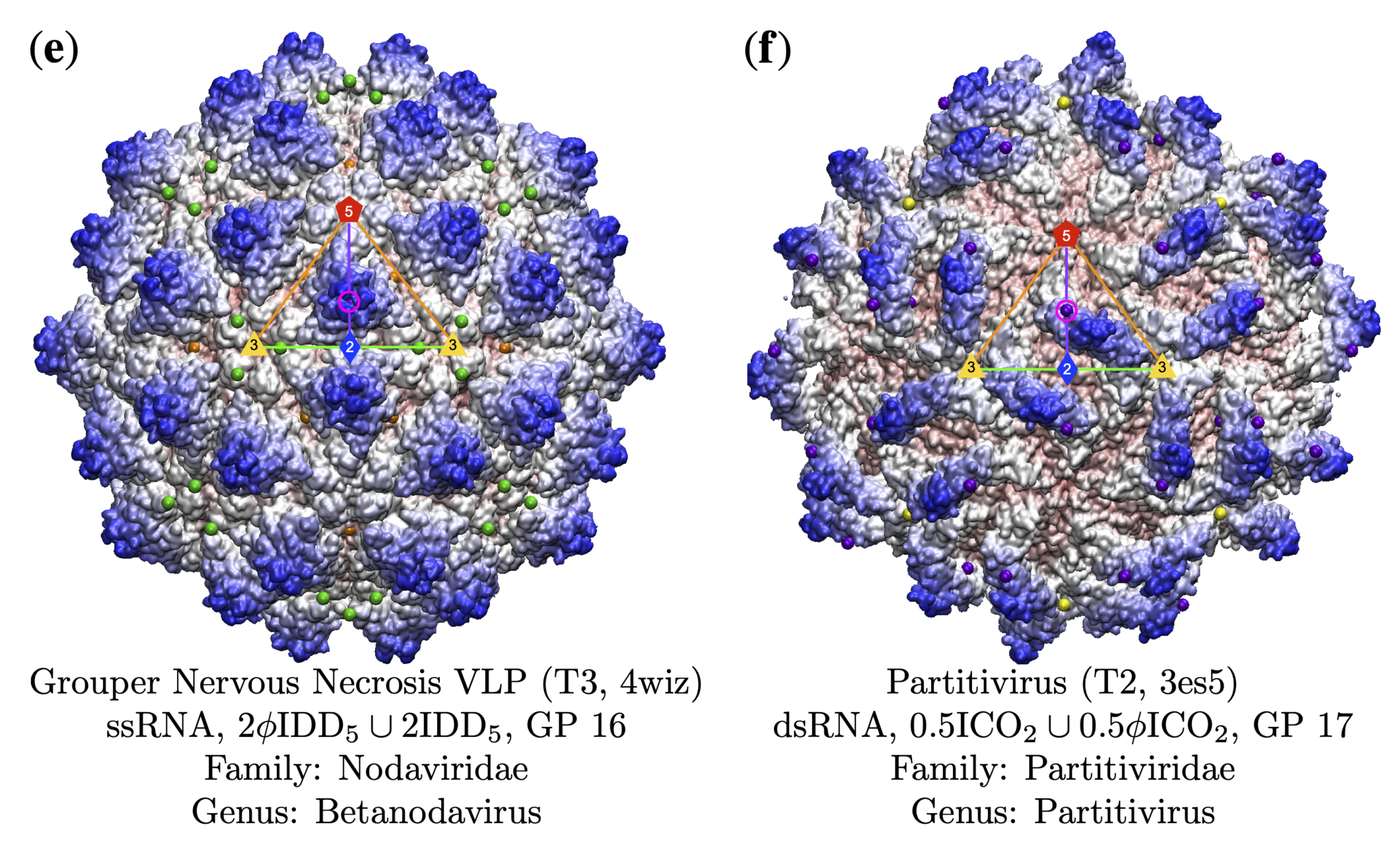 Viruses 13 02191 g011 Viruses 13 02191 g011