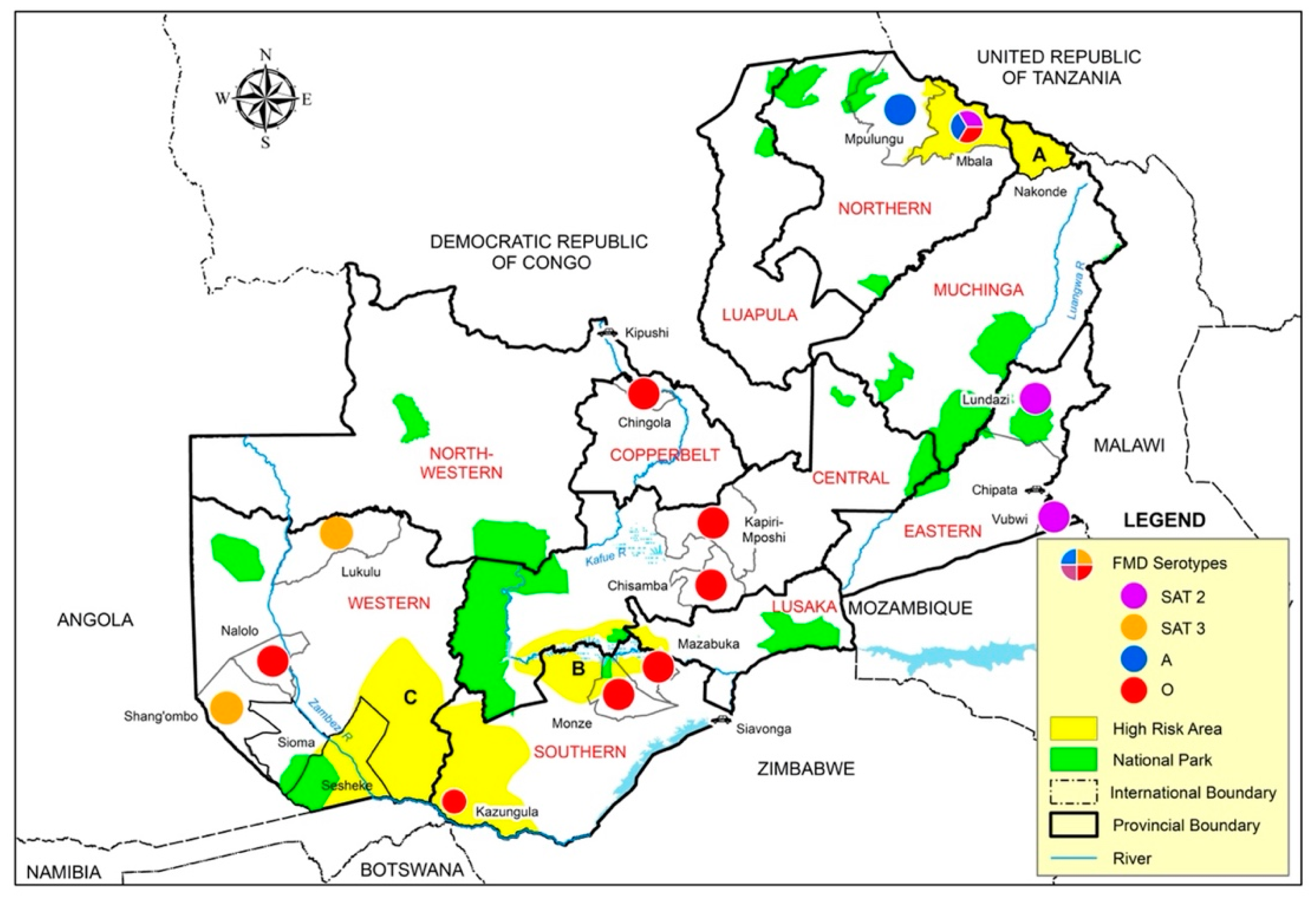 Viruses 13 02195 g002