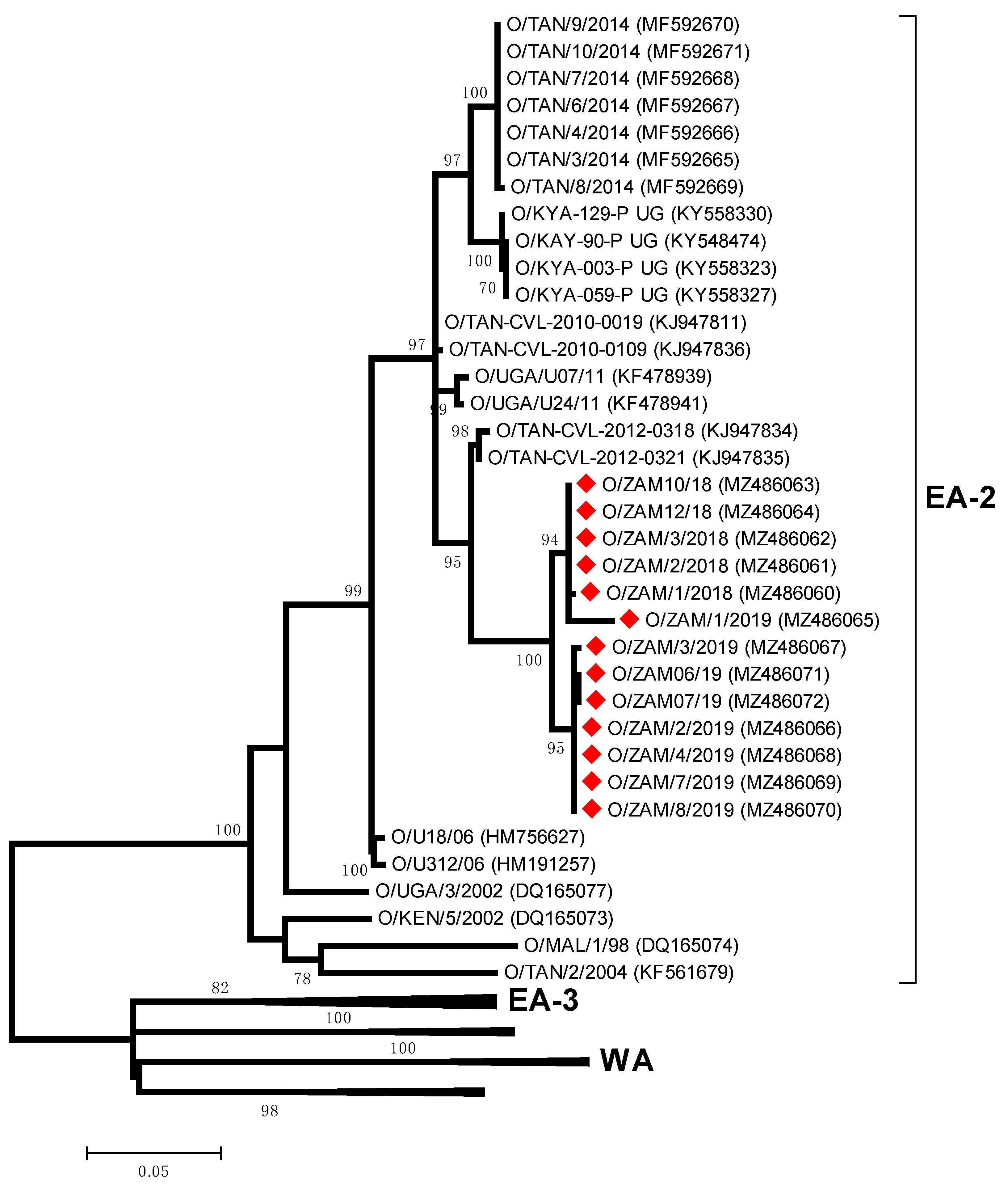 Viruses 13 02195 g004