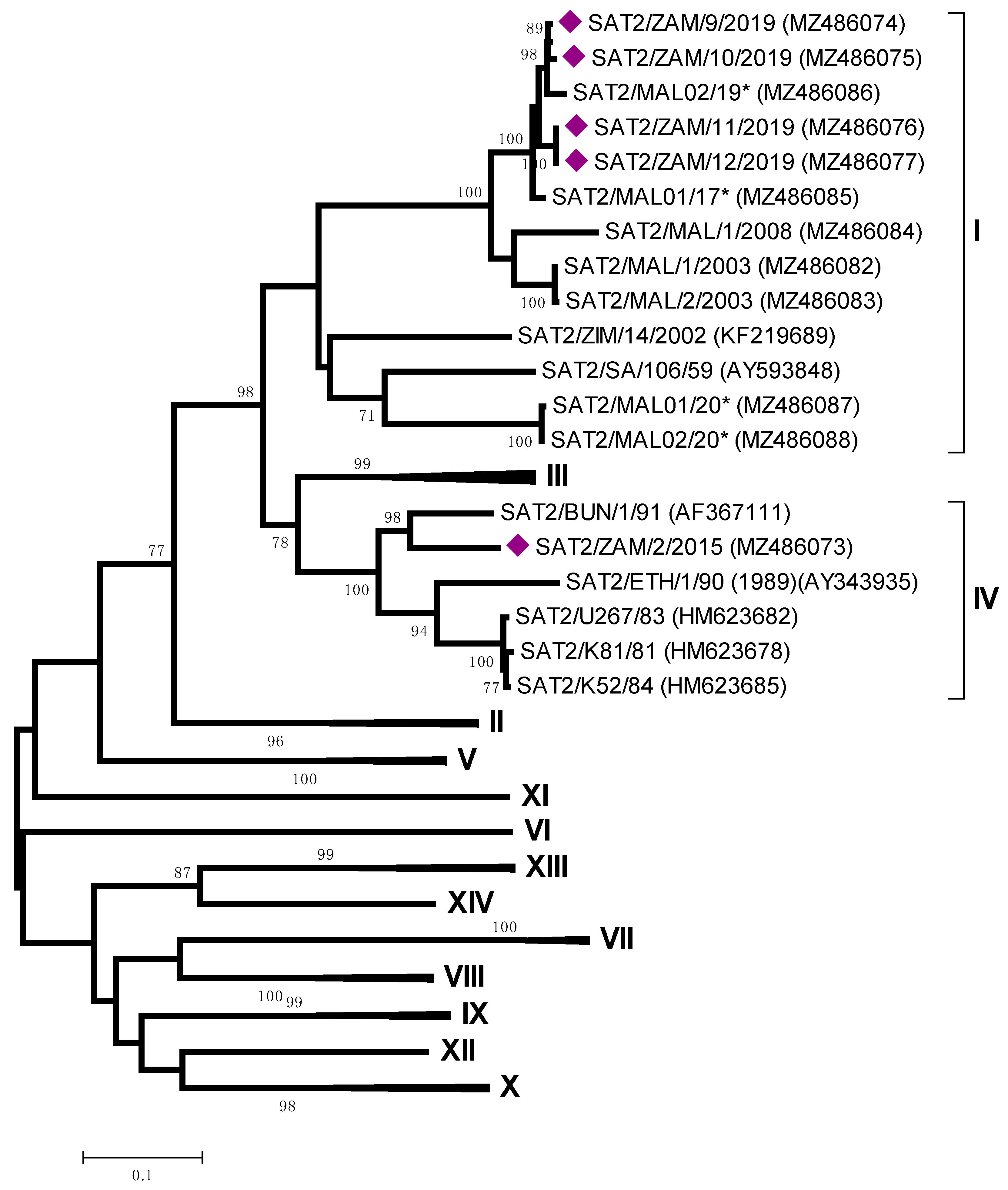 Viruses 13 02195 g005