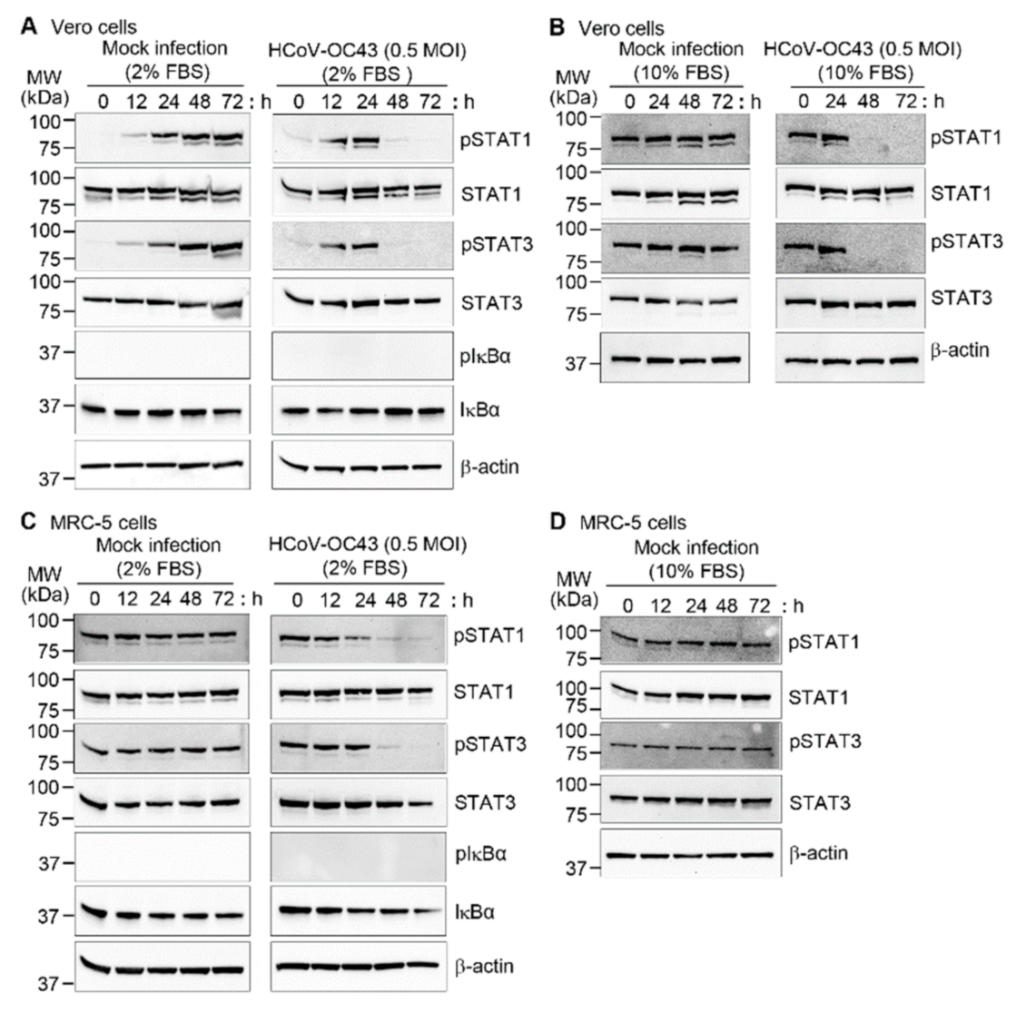 Viruses 13 02199 g004 Viruses 13 02199 g004