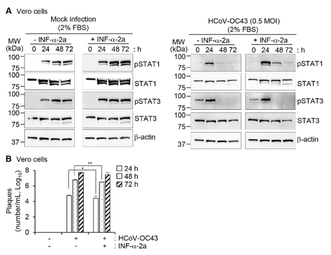 Viruses 13 02199 g006 Viruses 13 02199 g006
