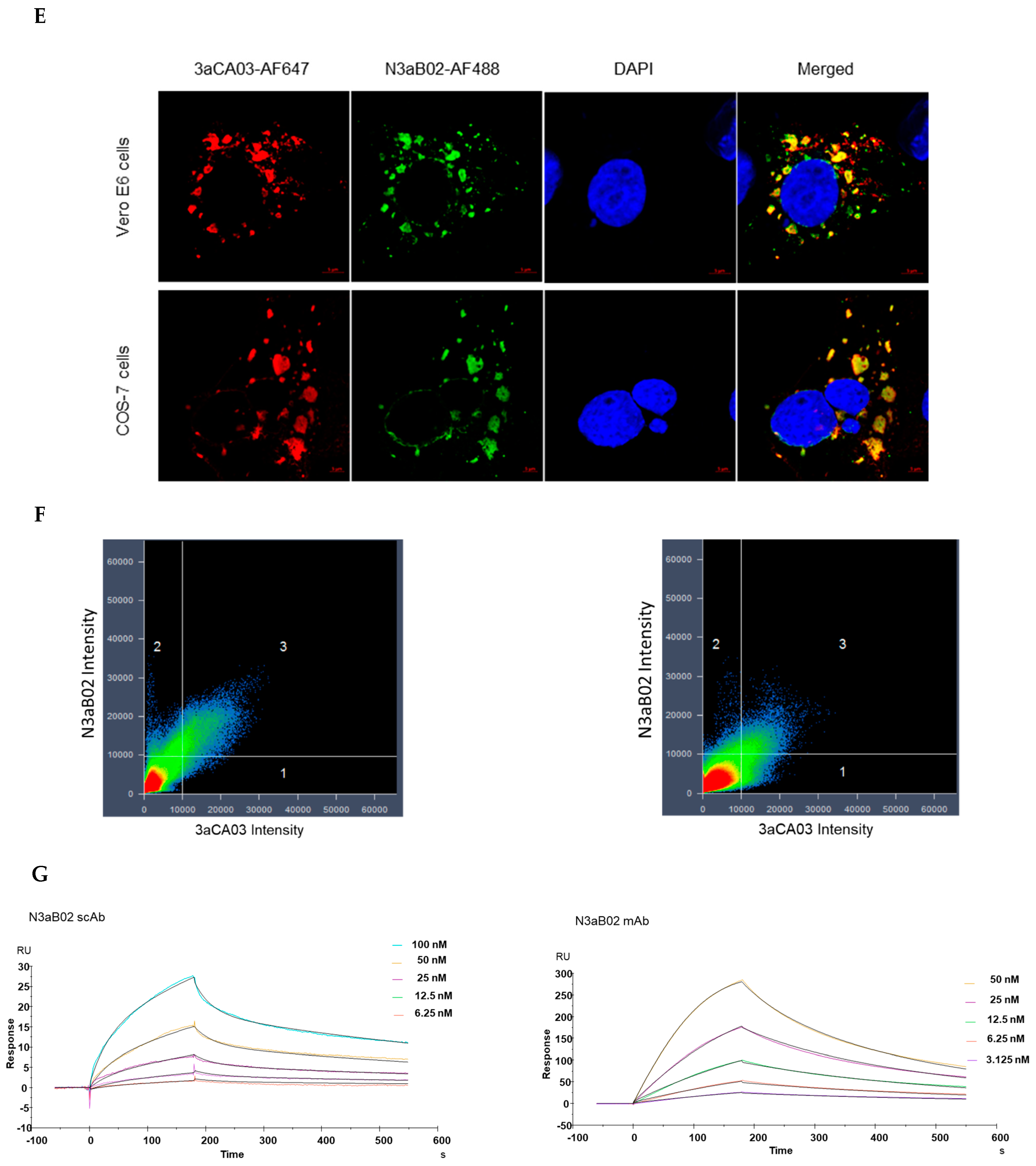 Viruses 13 02201 g001c