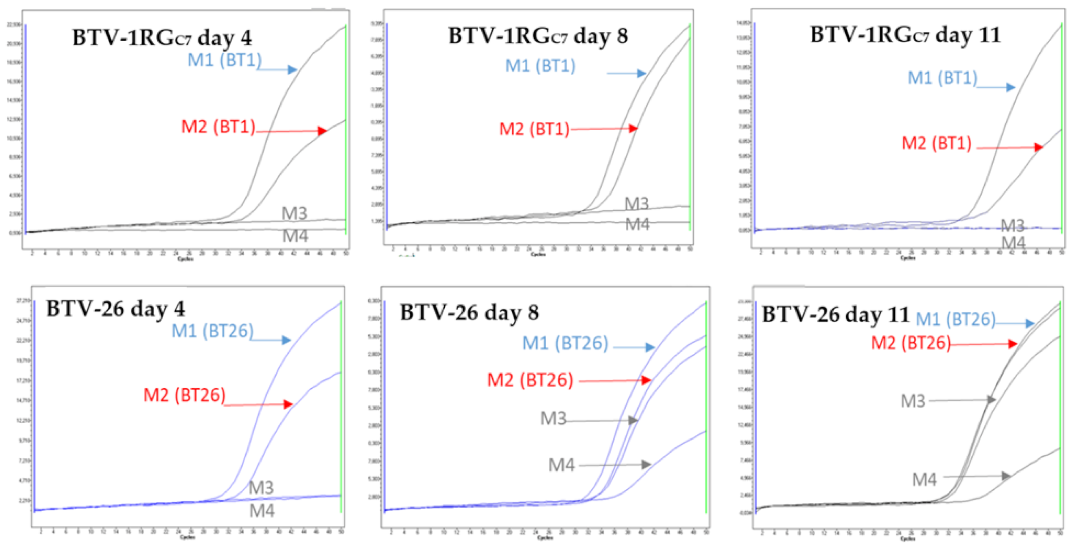 Viruses 13 02208 g005 550