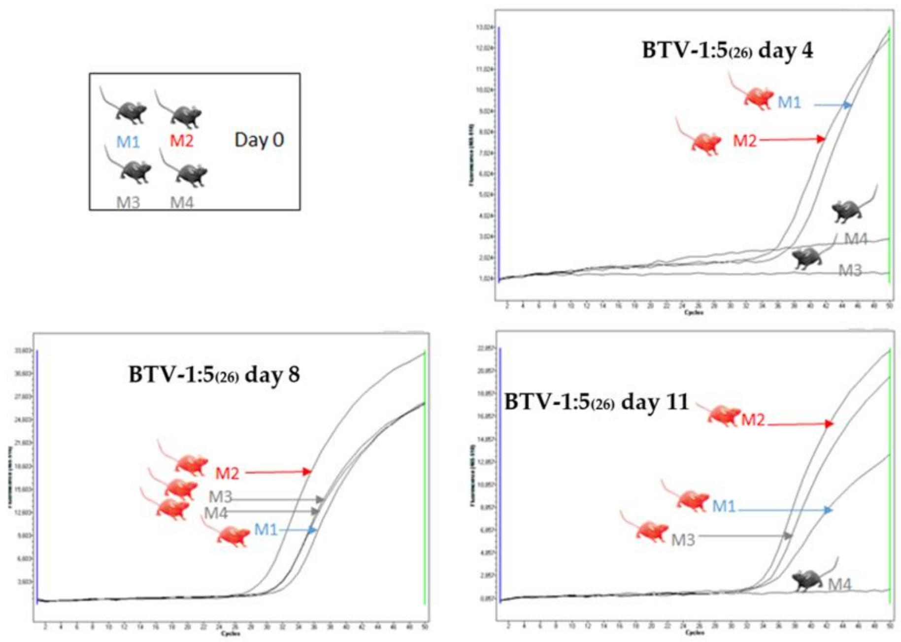 Viruses 13 02208 g006 550