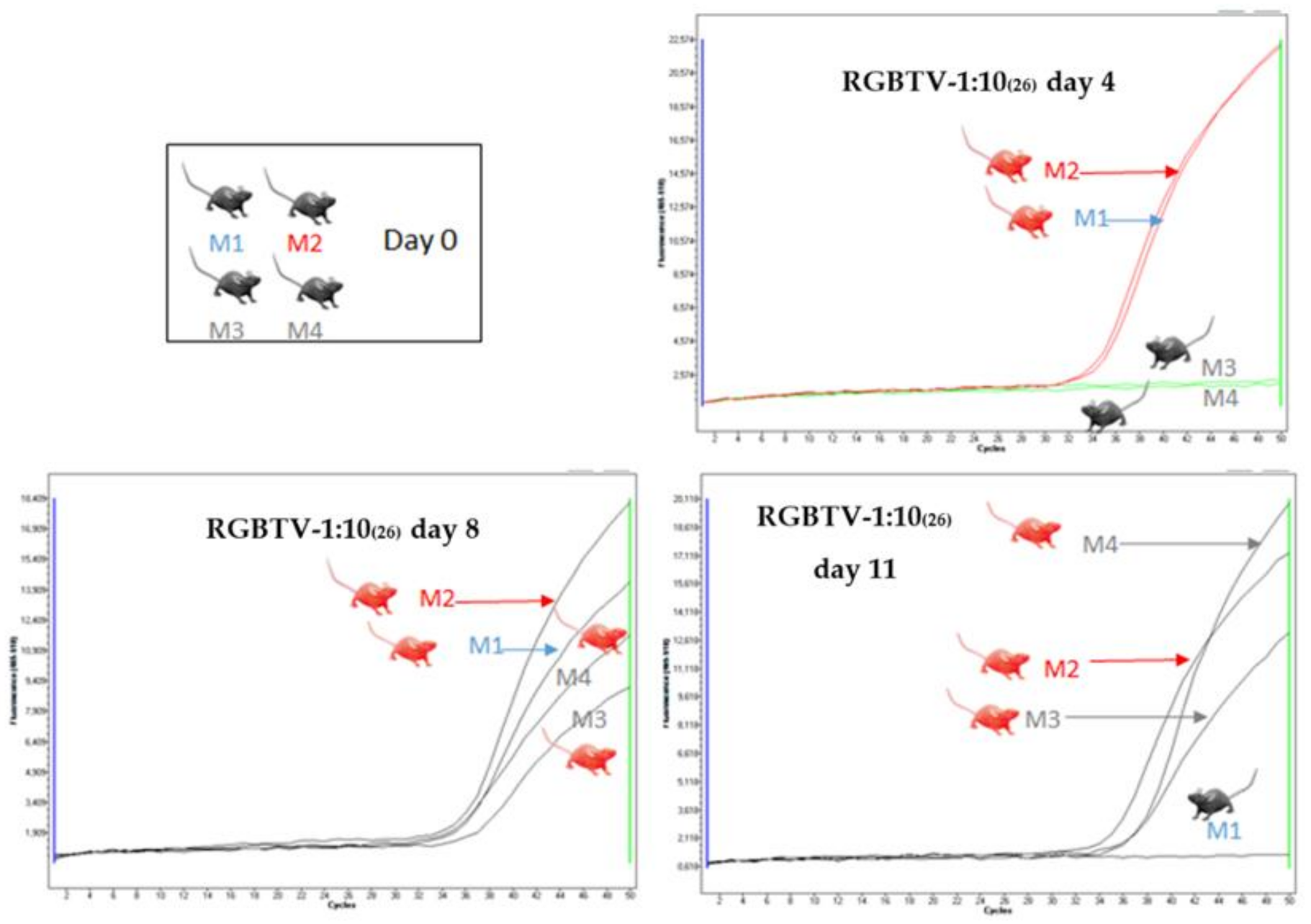 Viruses 13 02208 g007 550