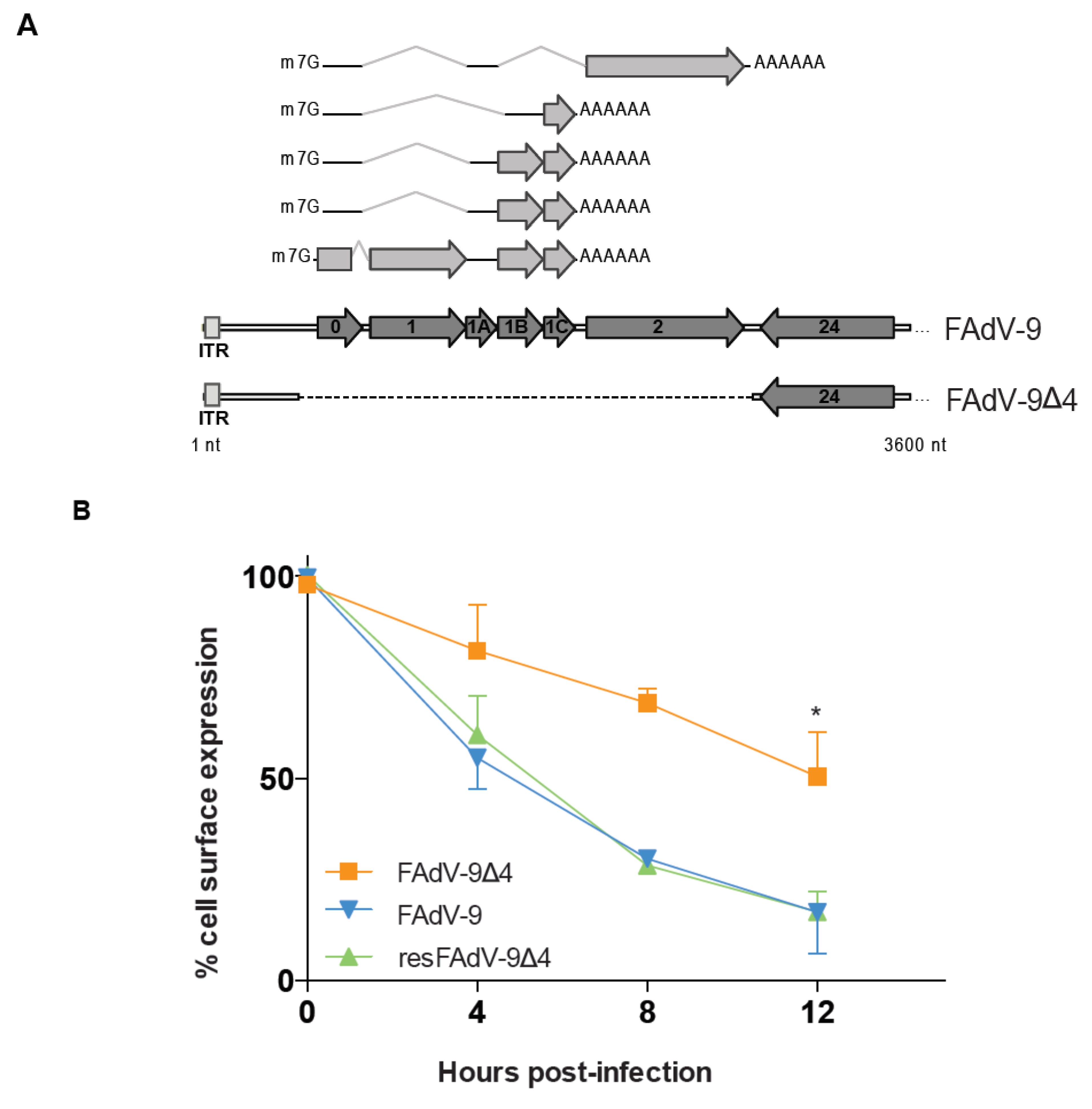 Viruses 13 02211 g002a