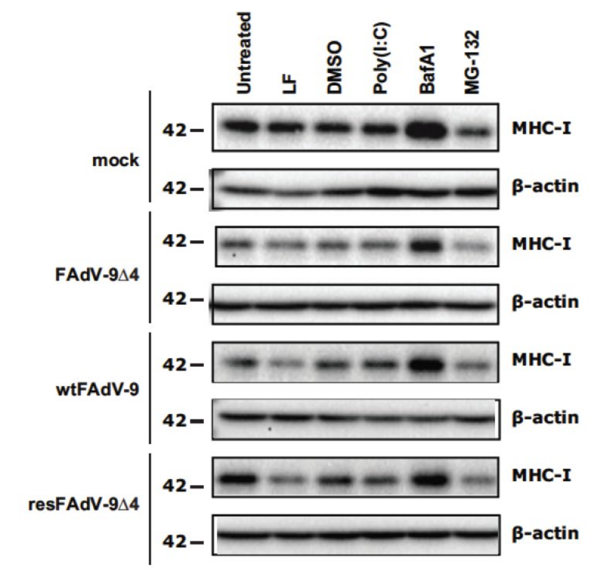 Viruses 13 02211 g004