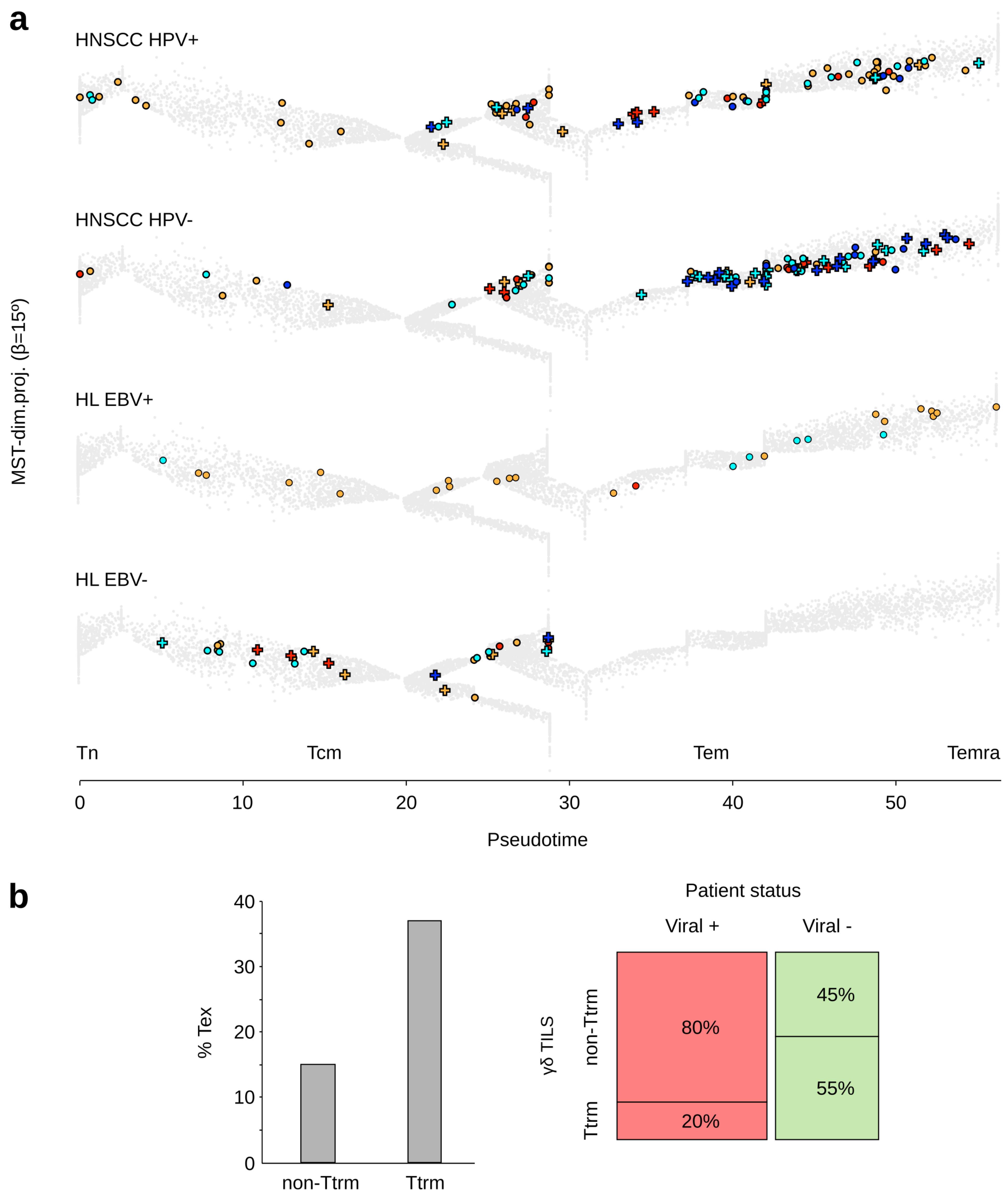 Viruses 13 02212 g001 550