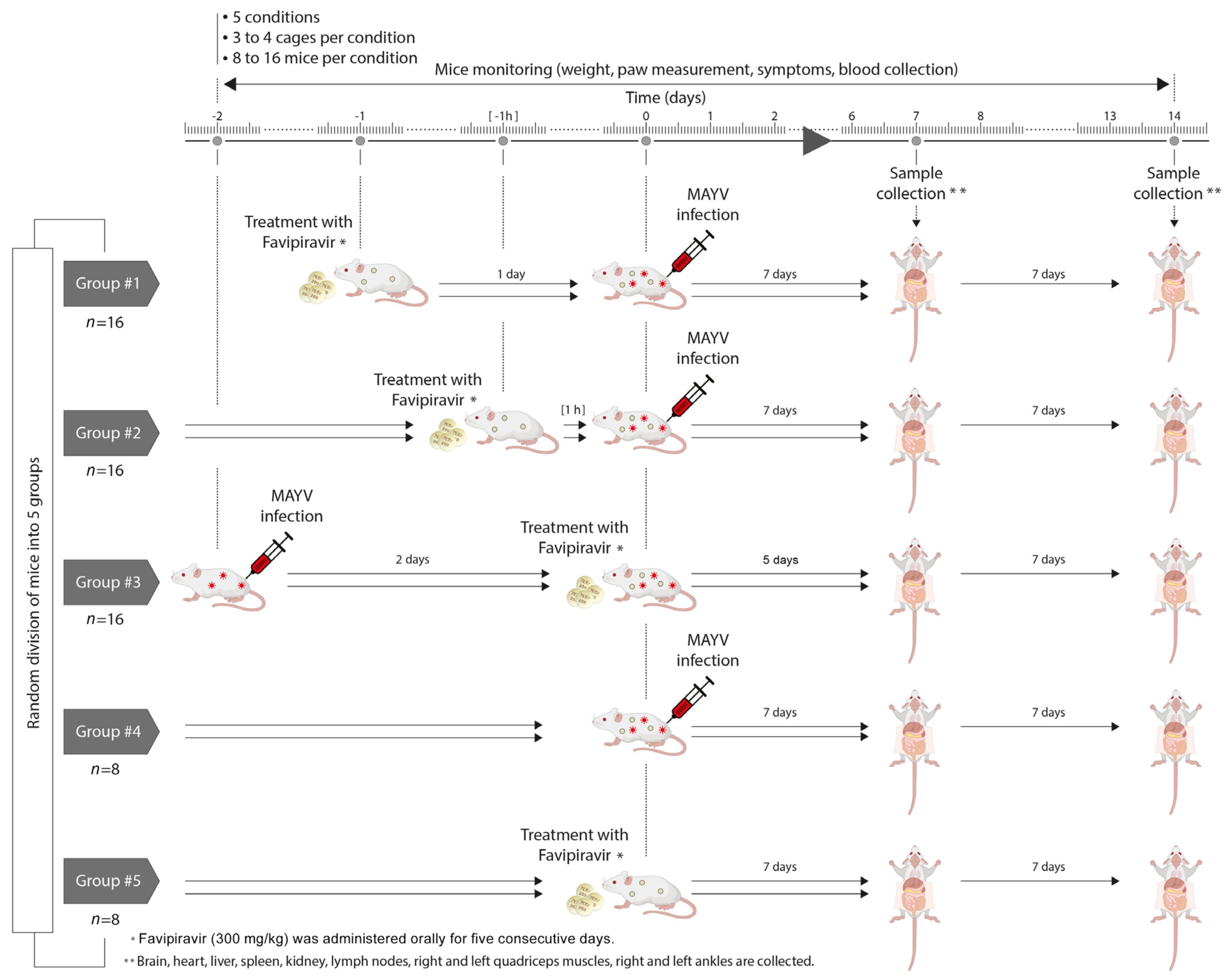 Viruses 13 02213 g001 550