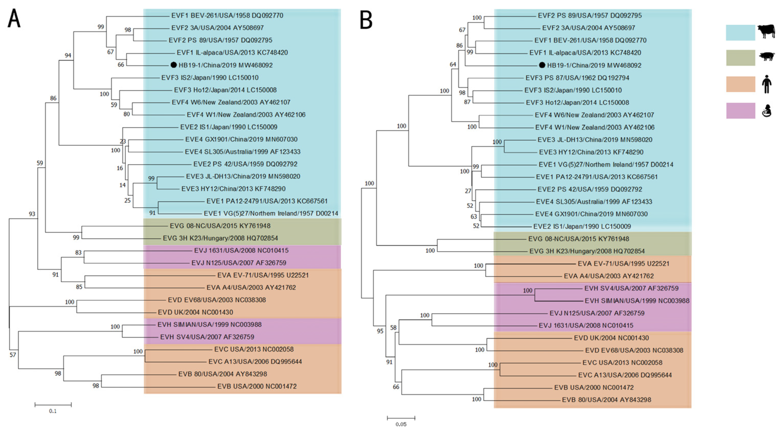 Viruses 13 02217 g002 Viruses 13 02217 g002