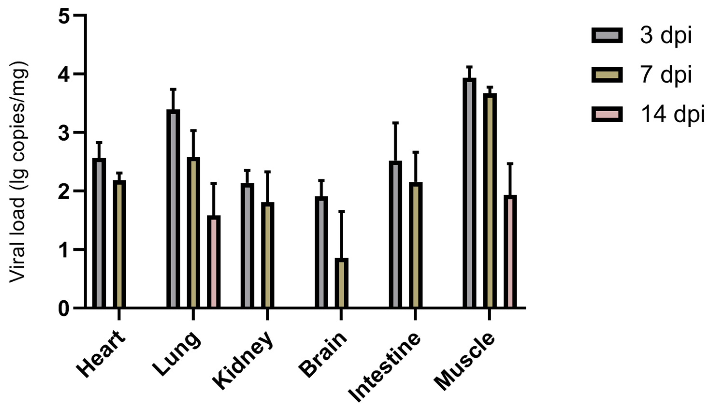 Viruses 13 02217 g003 Viruses 13 02217 g003