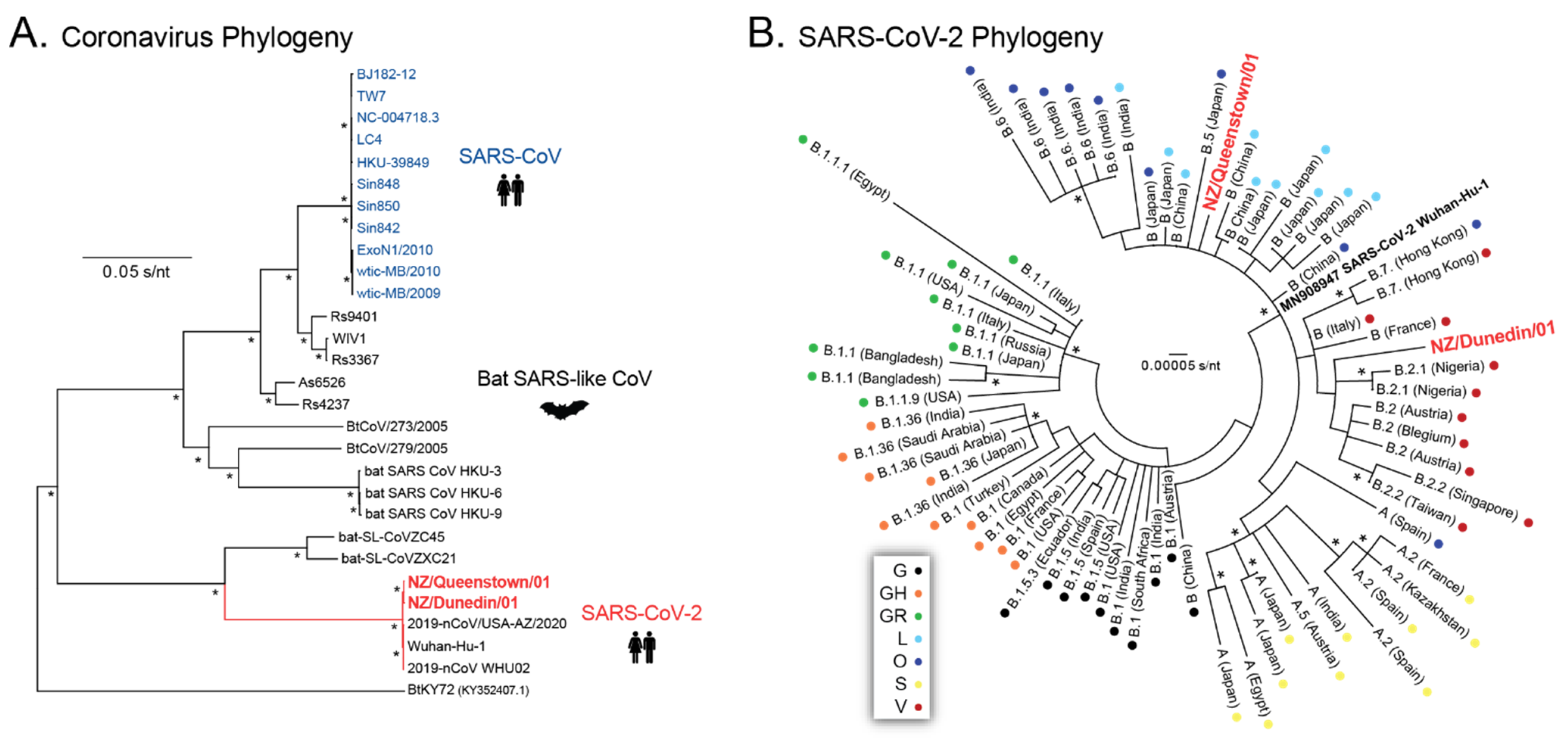 Viruses 13 02222 g005 550