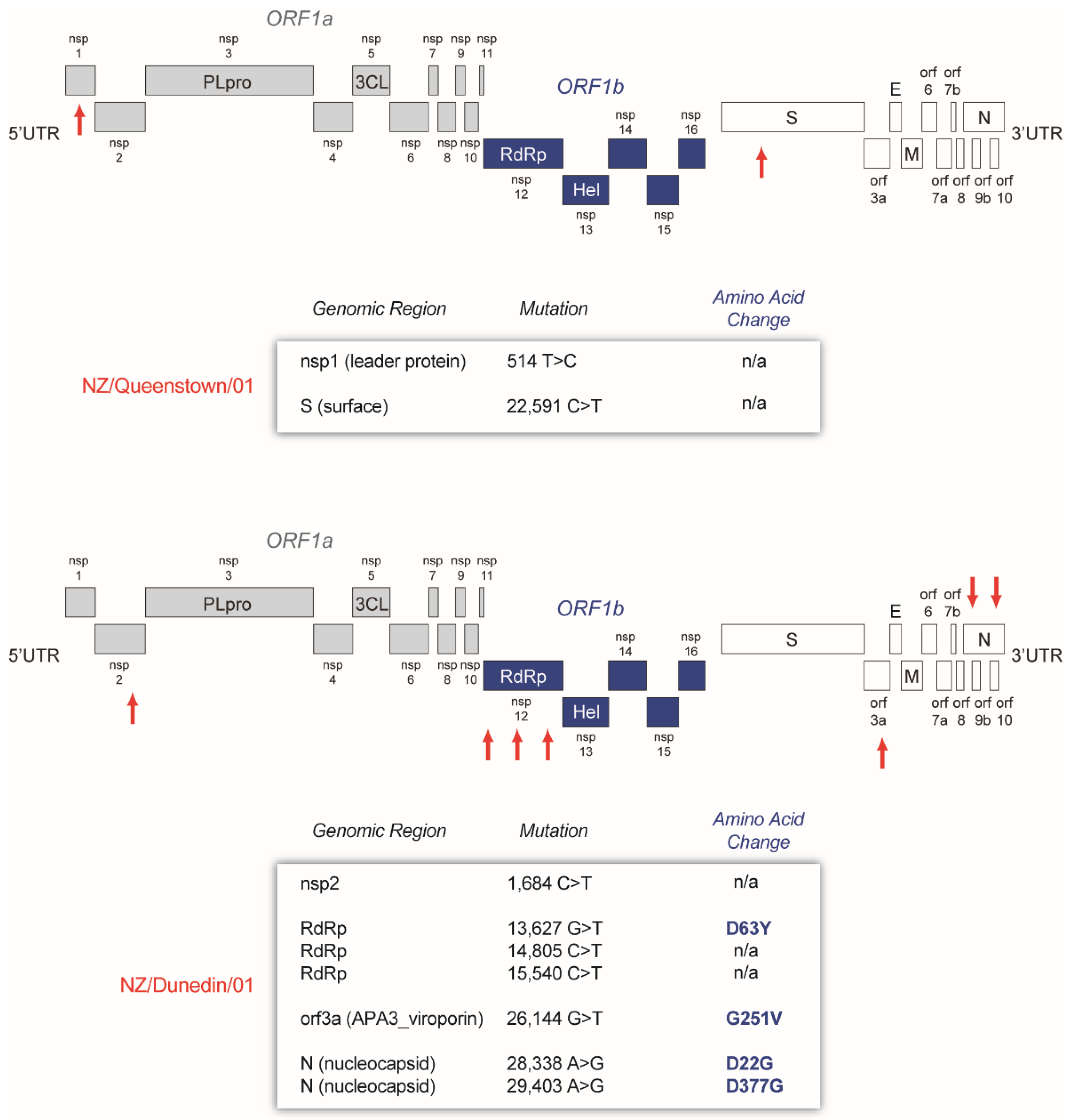 Viruses 13 02222 g006 550