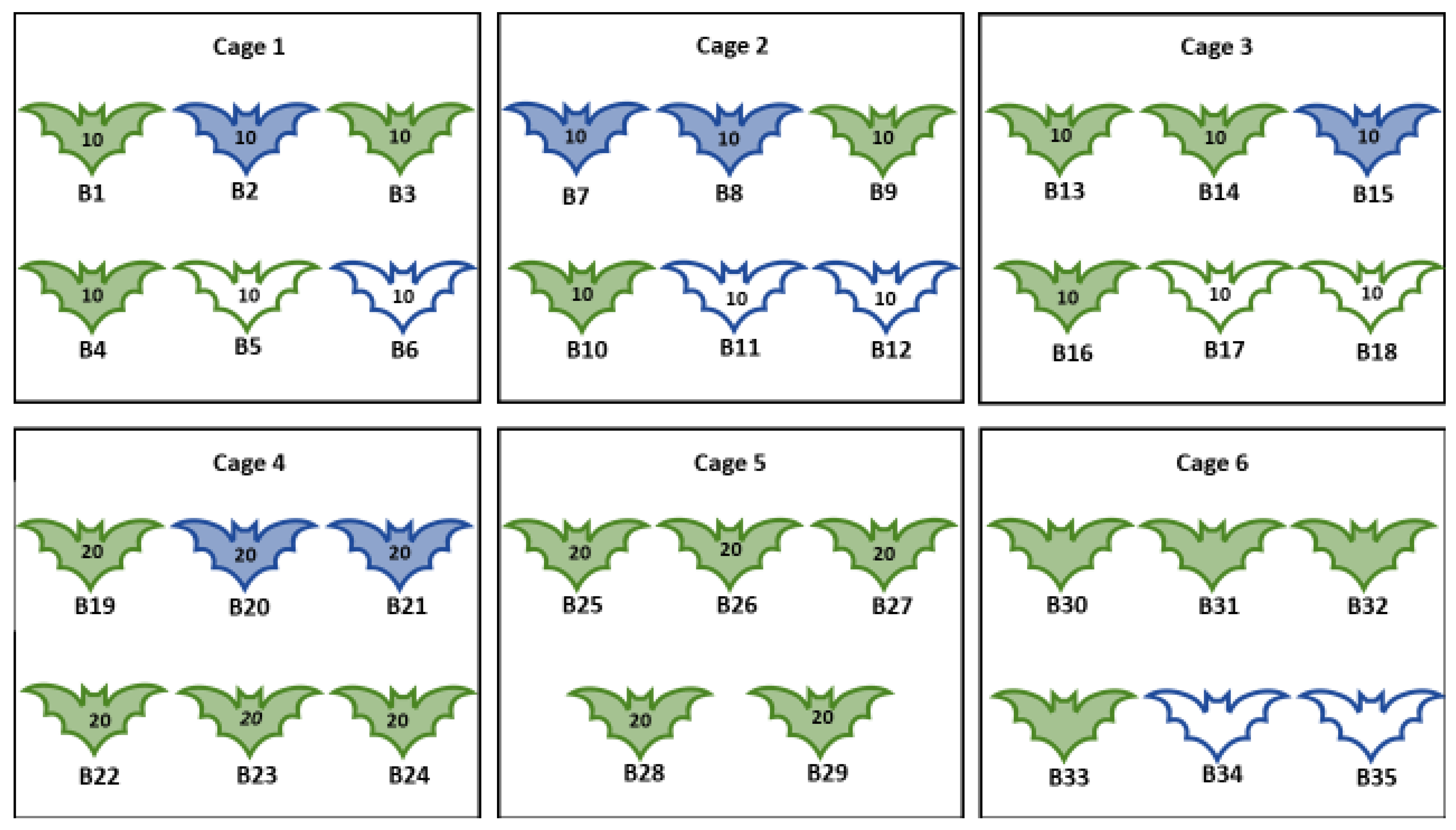 Viruses 13 02226 g006