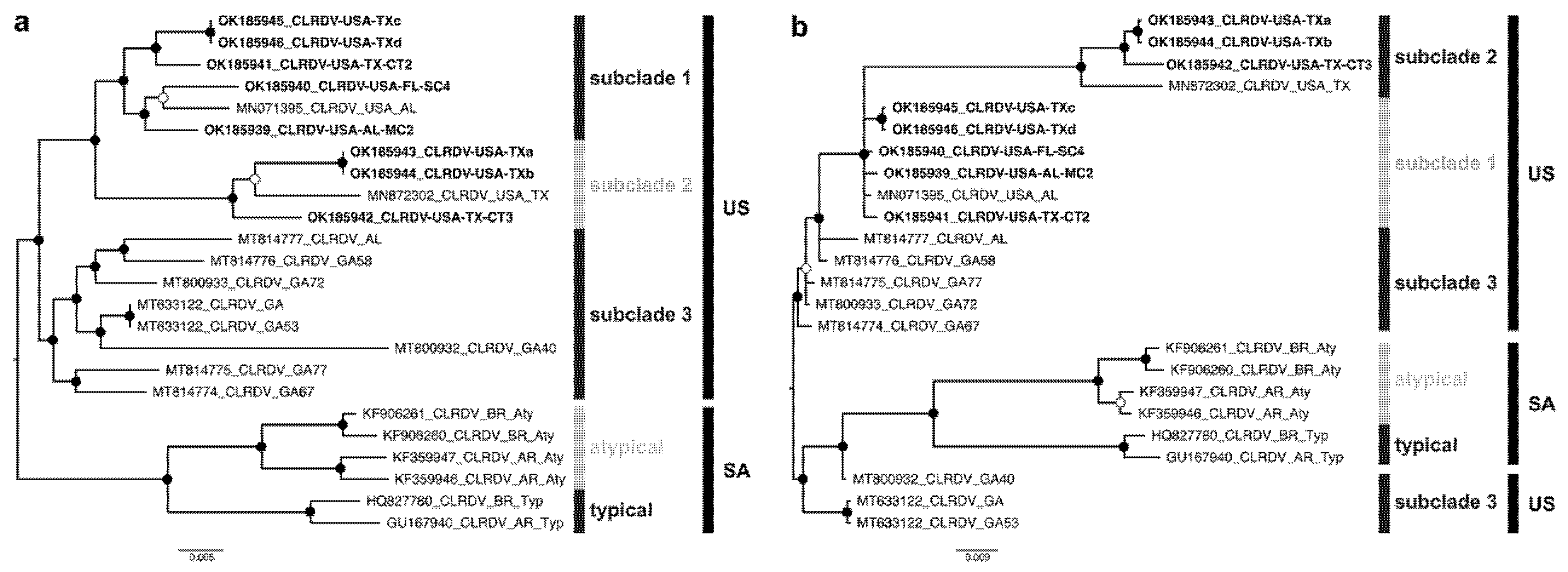 Viruses 13 02230 g001 550