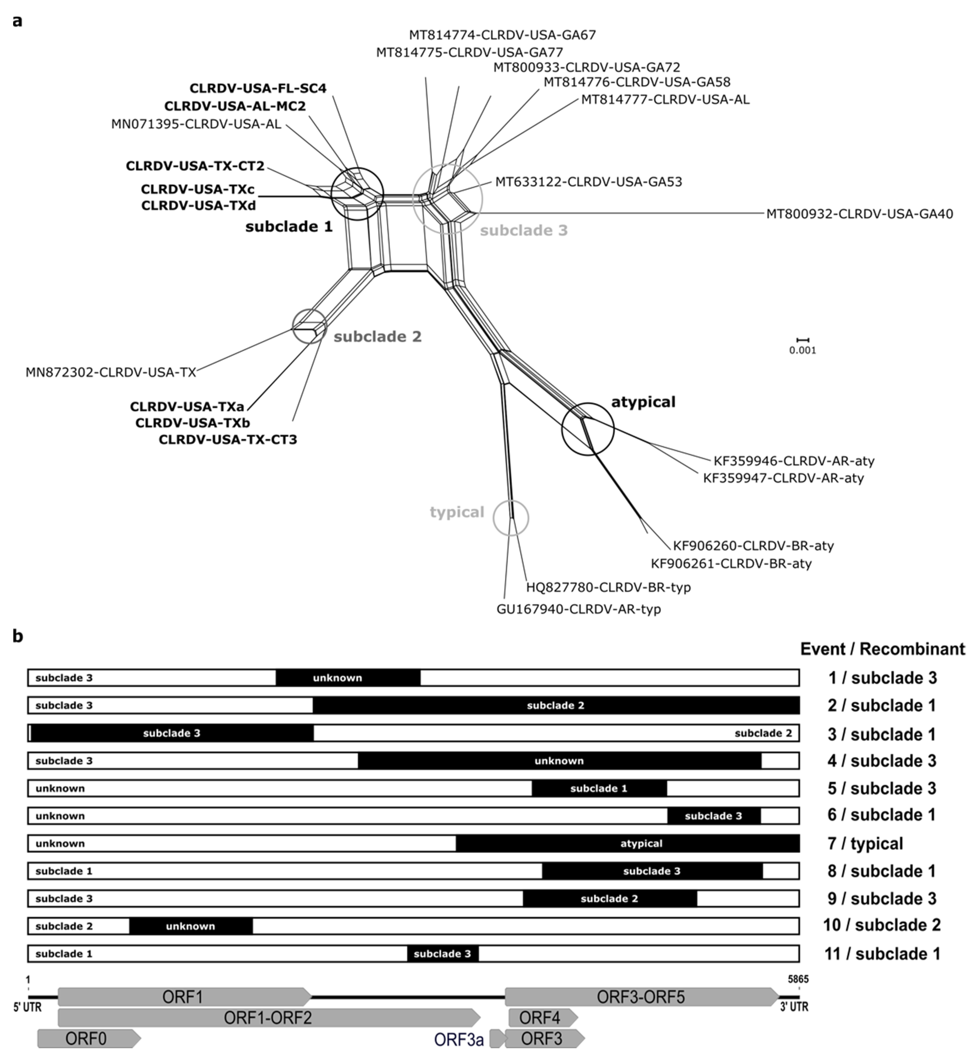 Viruses 13 02230 g002 550
