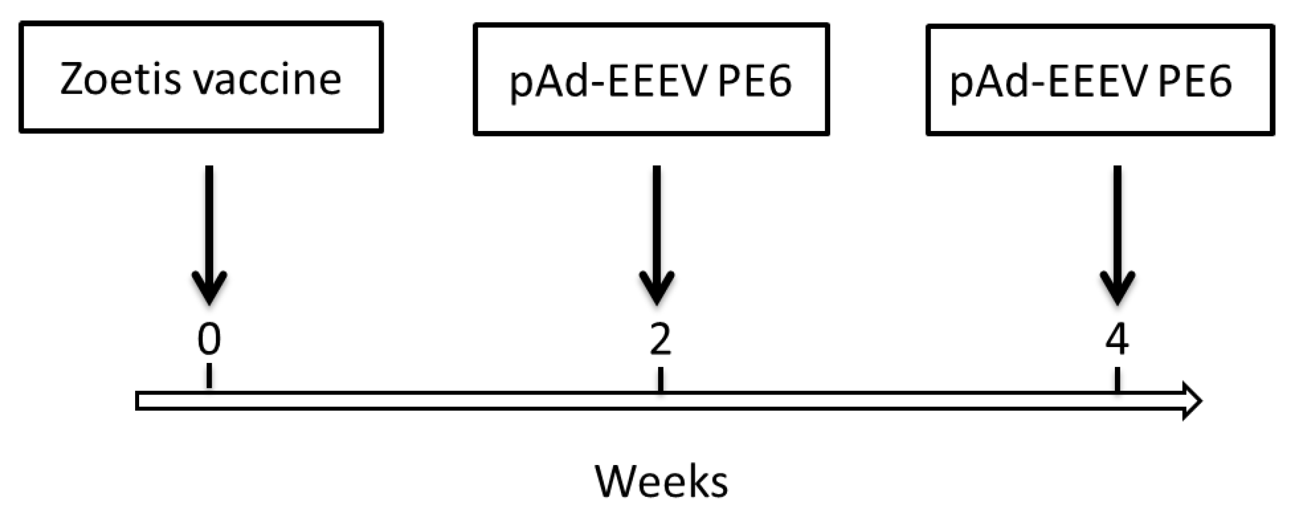 Viruses 13 02231 g001 550