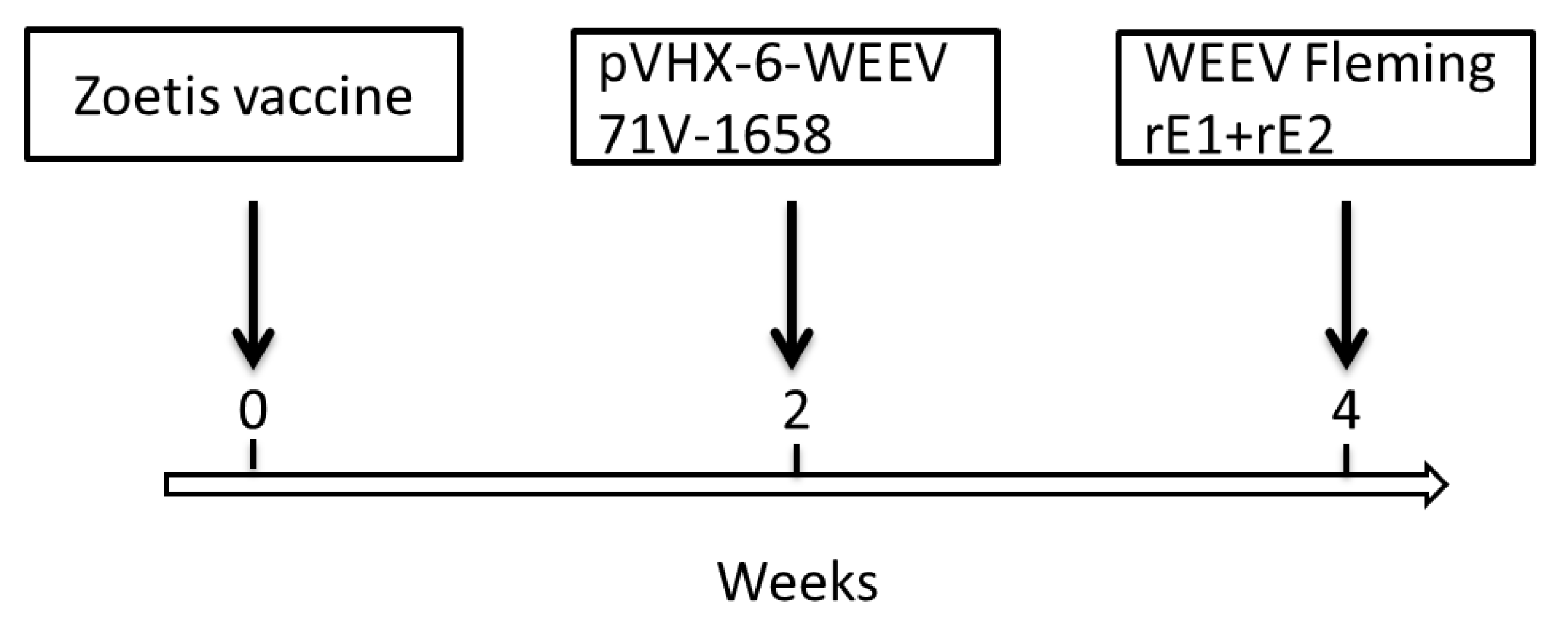 Viruses 13 02231 g002 550