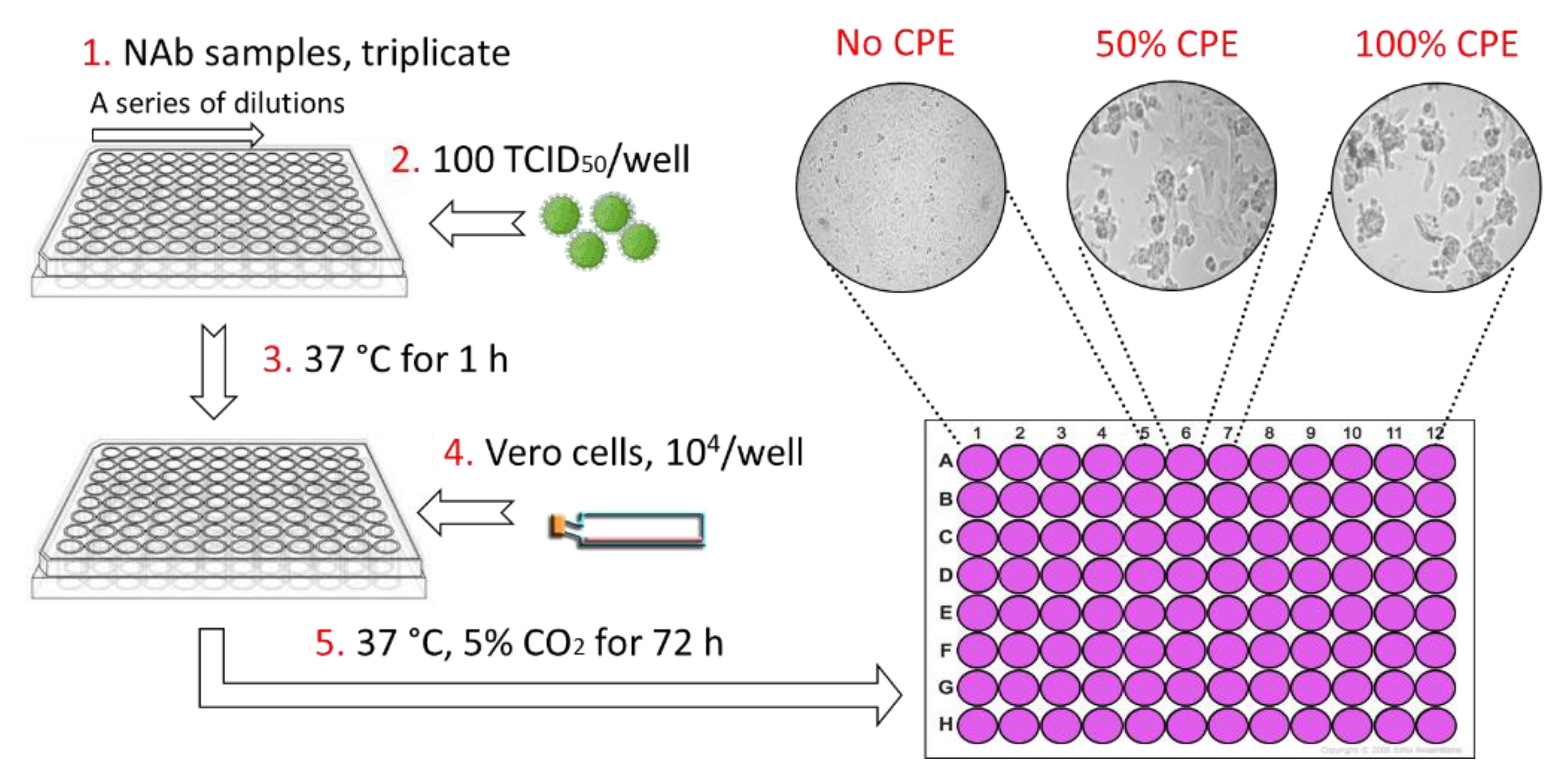 Viruses 13 02231 g003 550