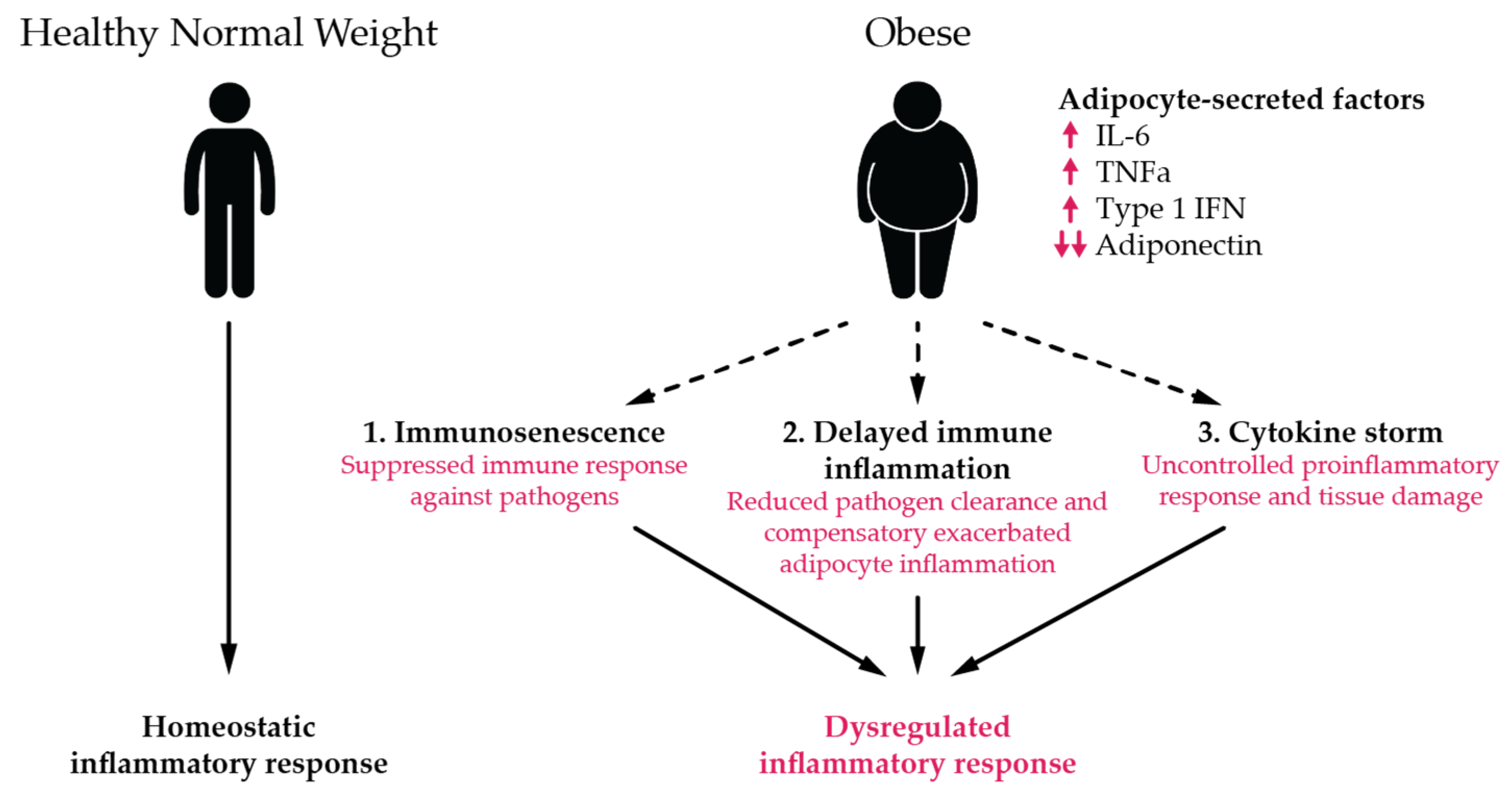 Viruses 13 02235 g006 550