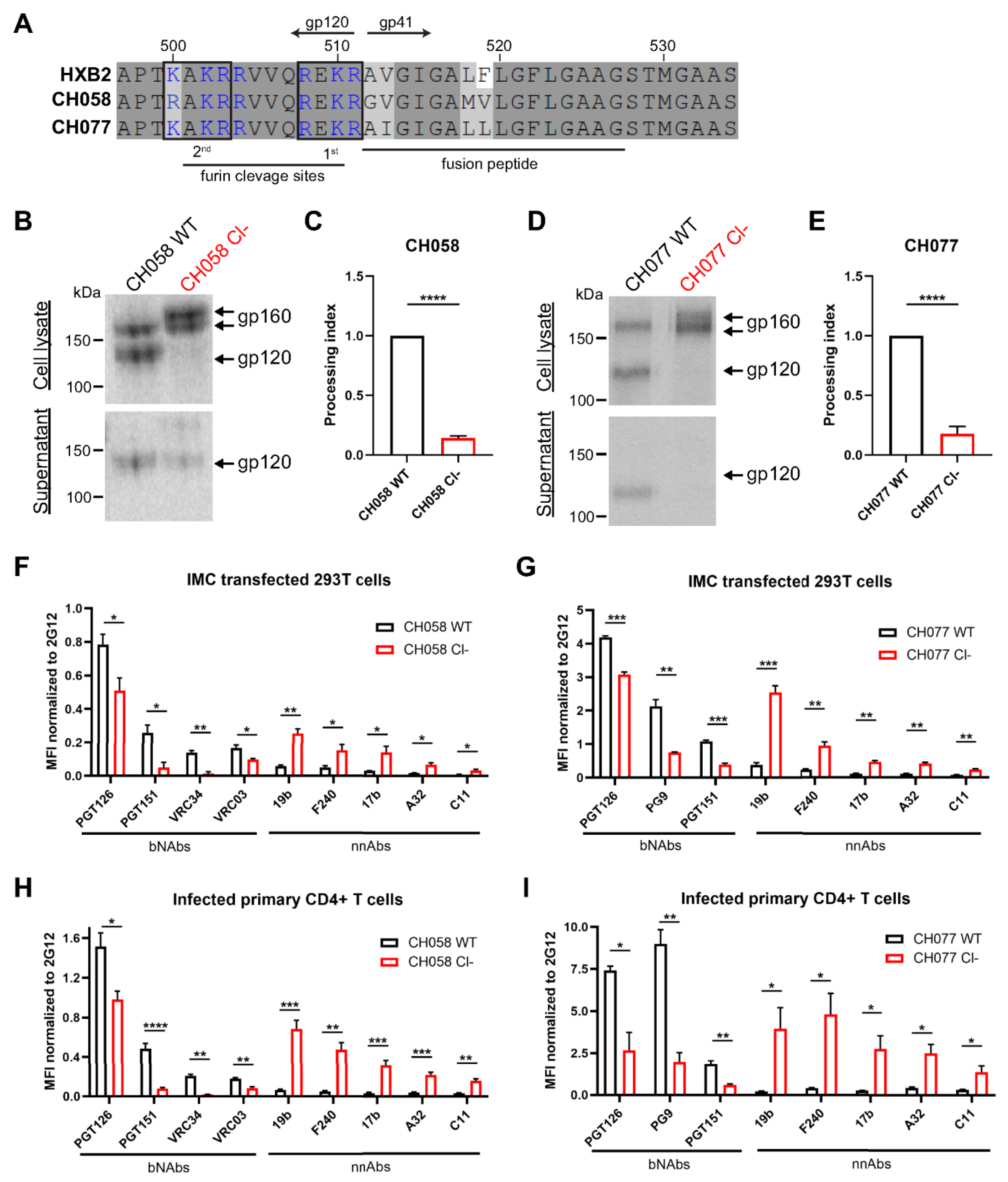 Viruses 13 02236 g001