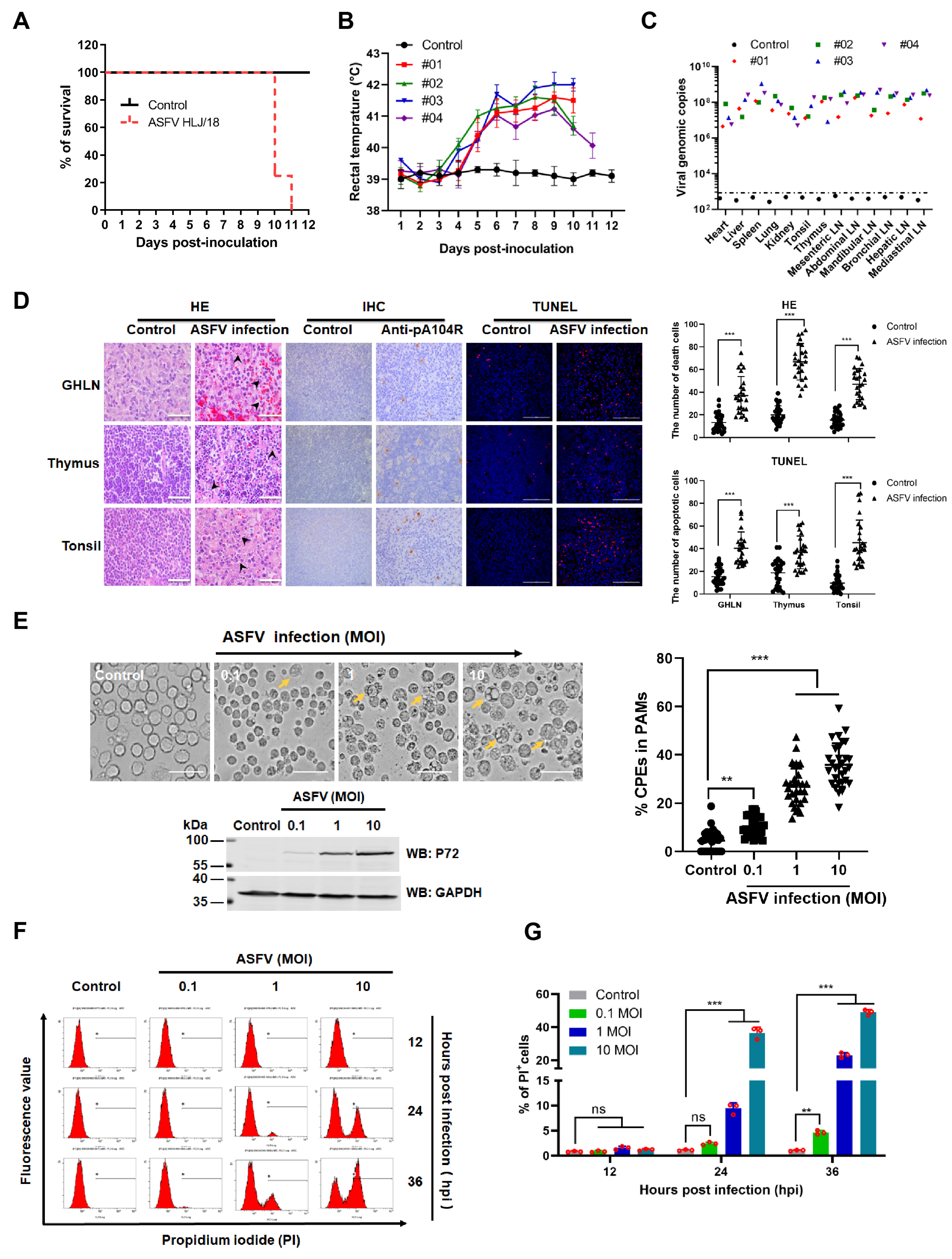 Viruses 13 02240 g001