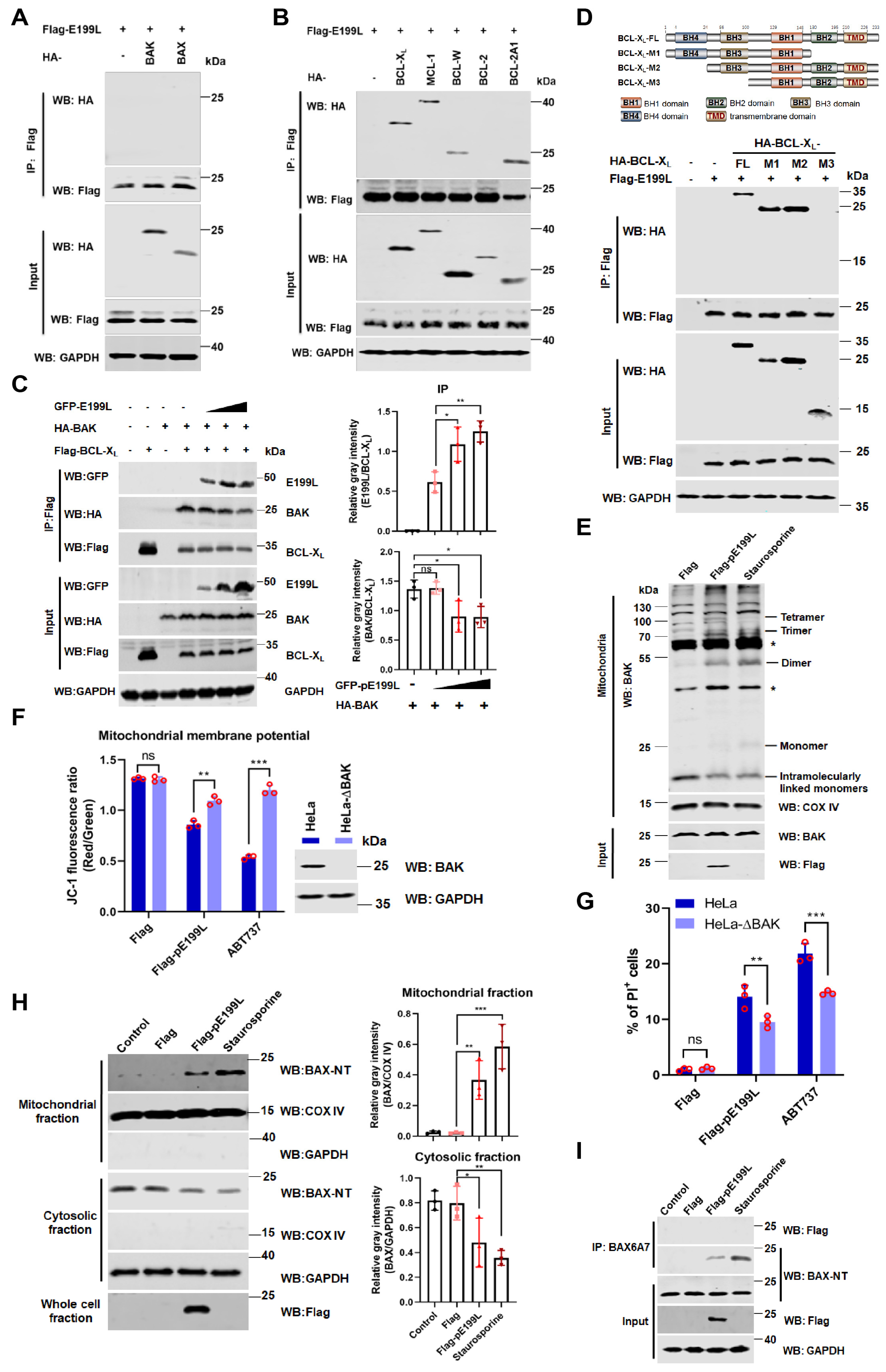 Viruses 13 02240 g005