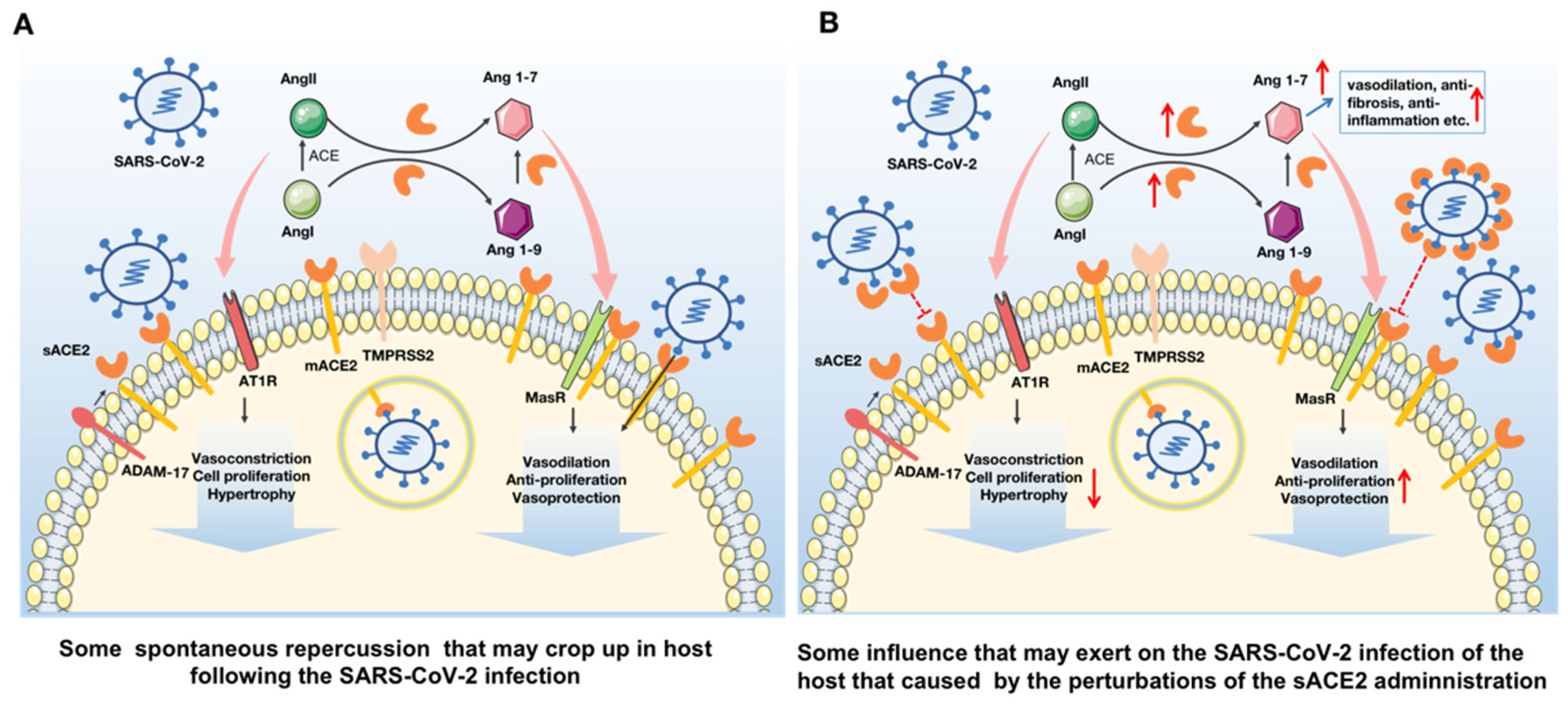 Viruses 13 02243 g002
