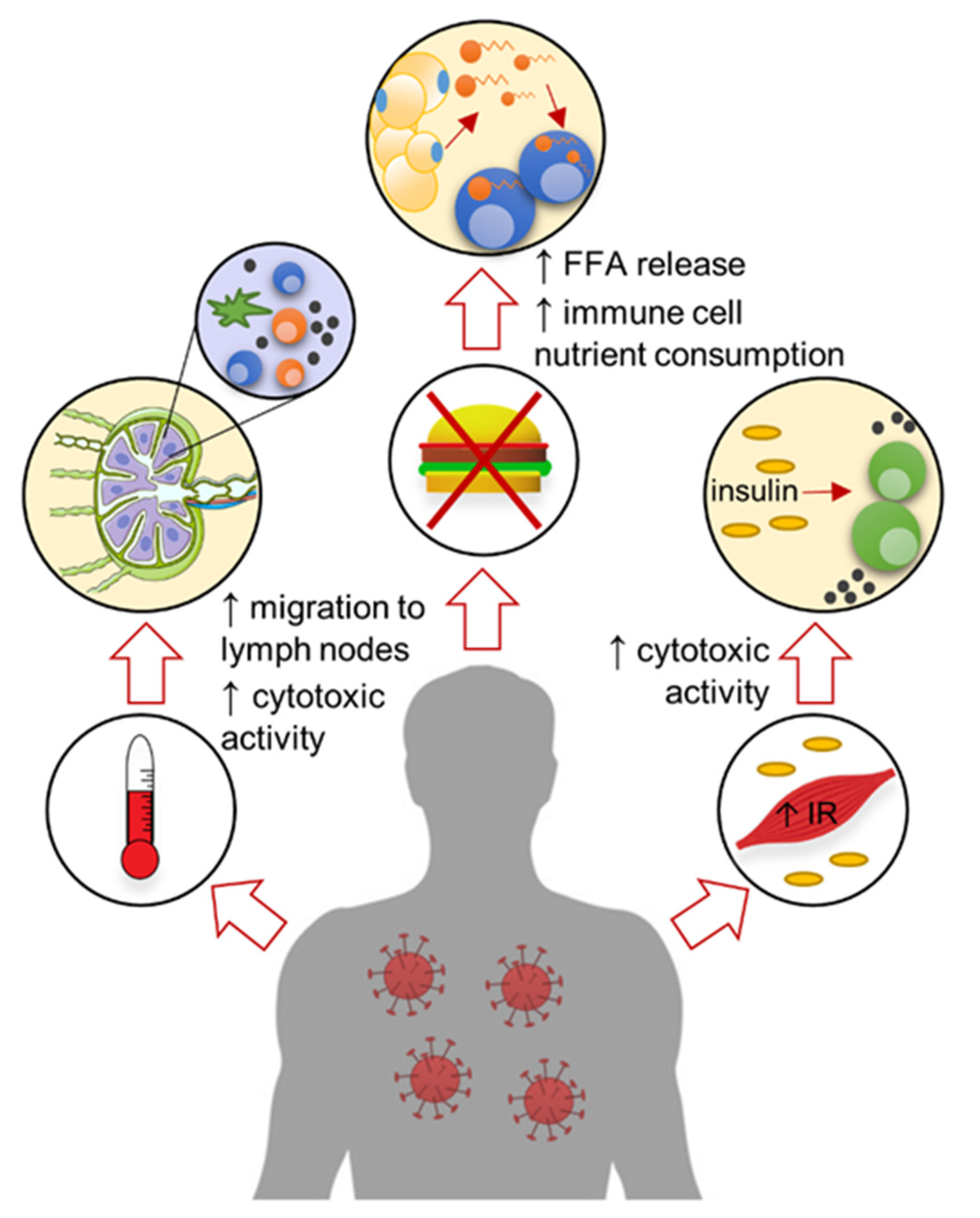 Viruses 13 02245 g002 550
