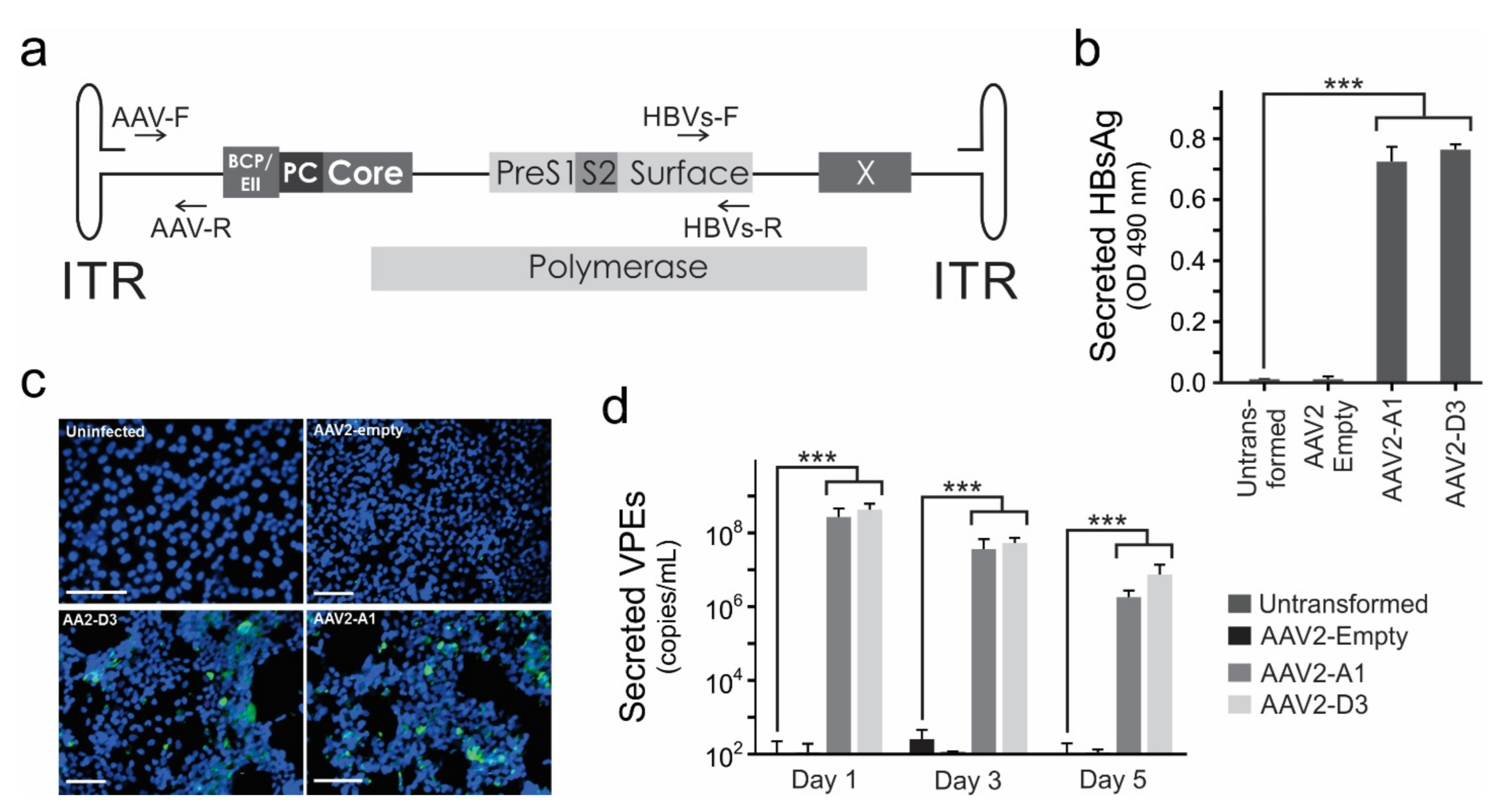 Viruses 13 02247 g001 Viruses 13 02247 g001