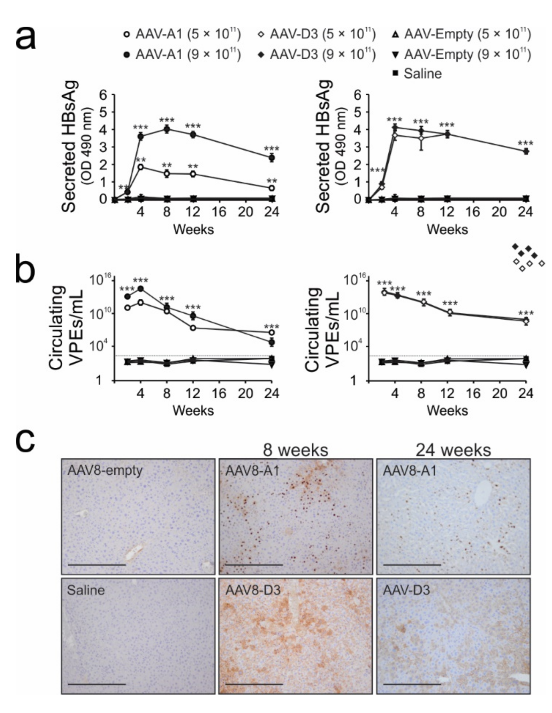 Viruses 13 02247 g003 Viruses 13 02247 g003