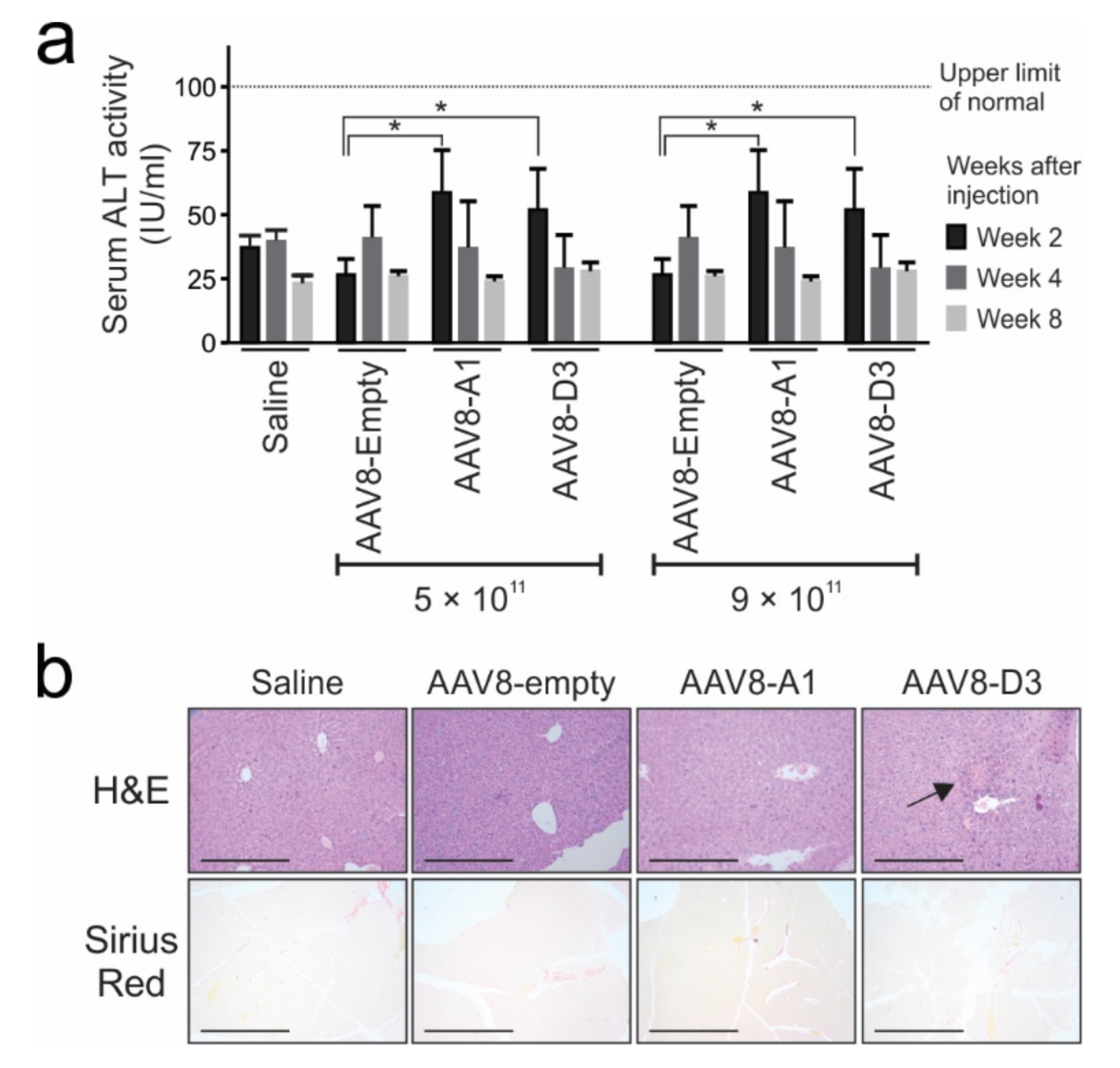 Viruses 13 02247 g005 Viruses 13 02247 g005