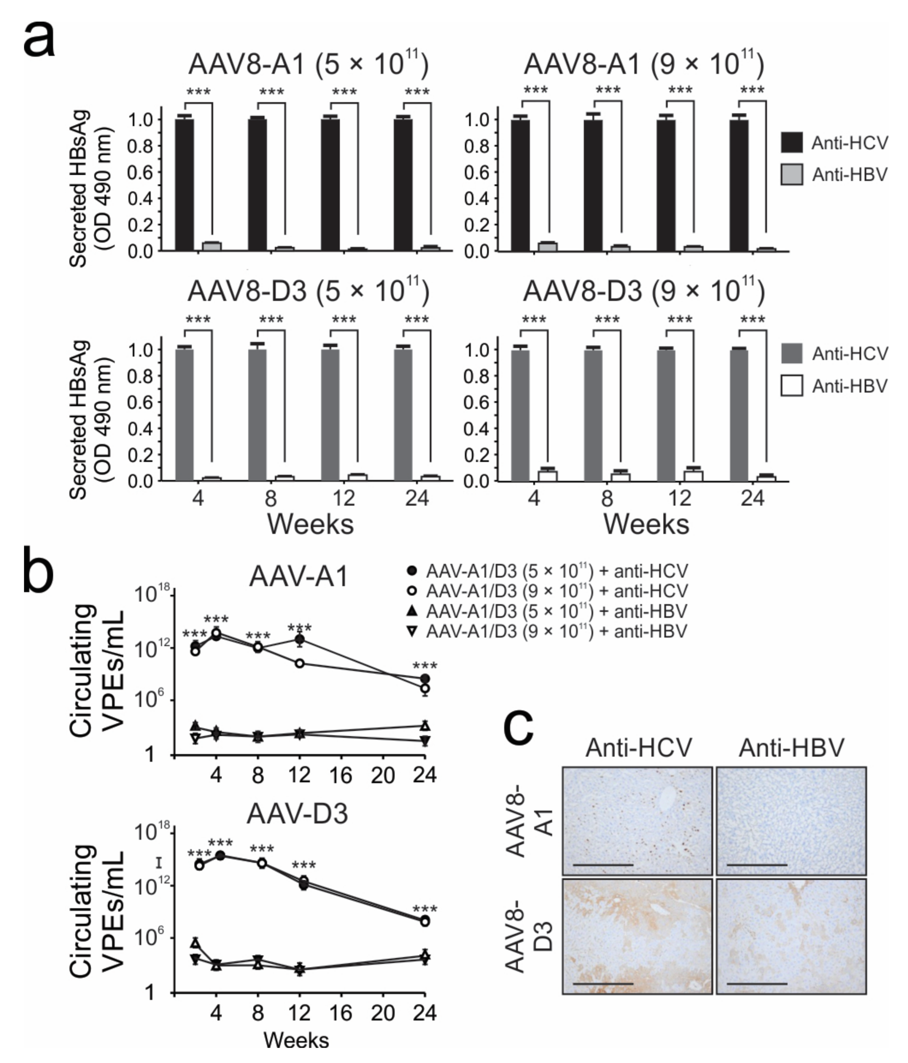 Viruses 13 02247 g006 Viruses 13 02247 g006