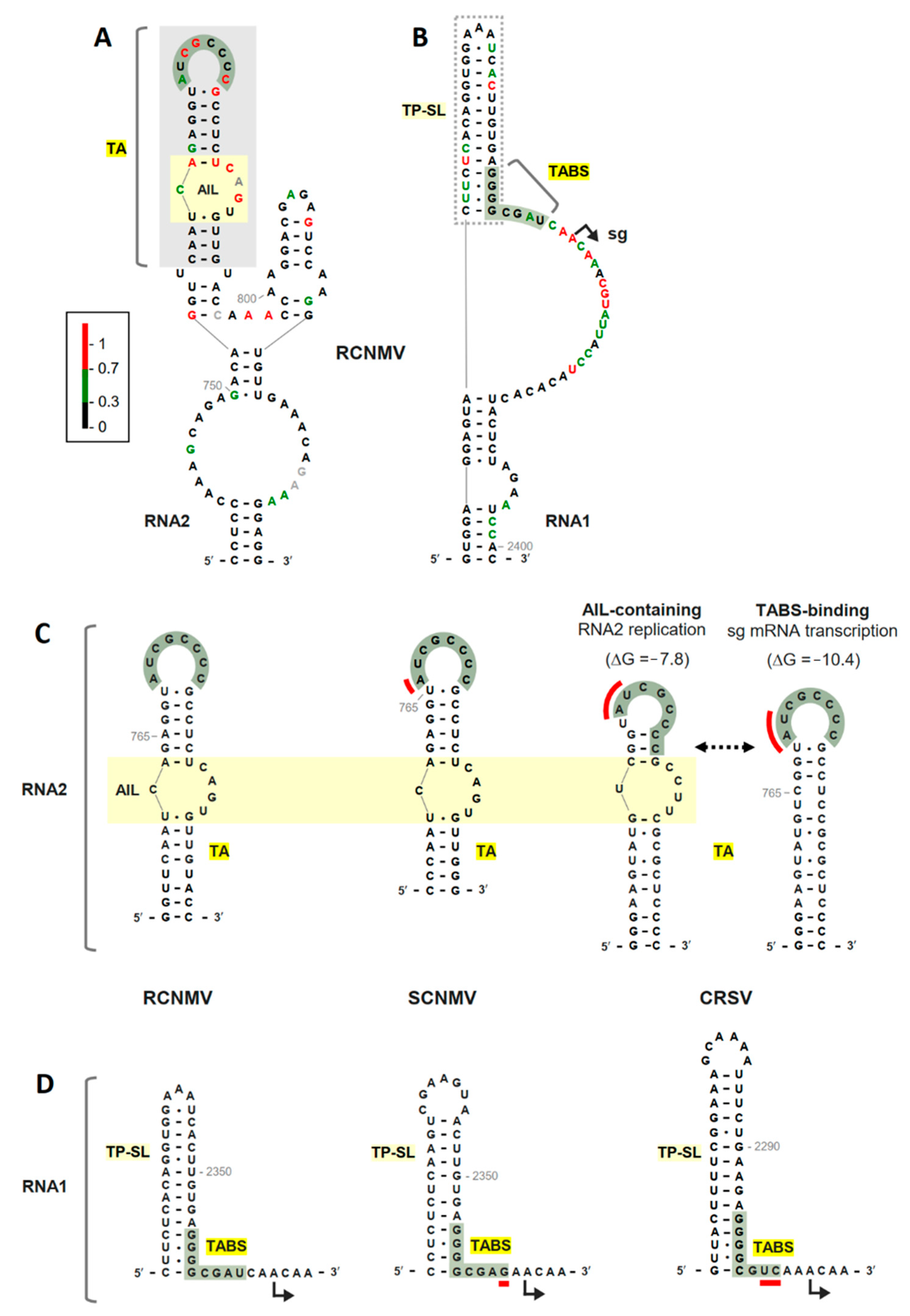 Viruses 13 02252 g002 Viruses 13 02252 g002