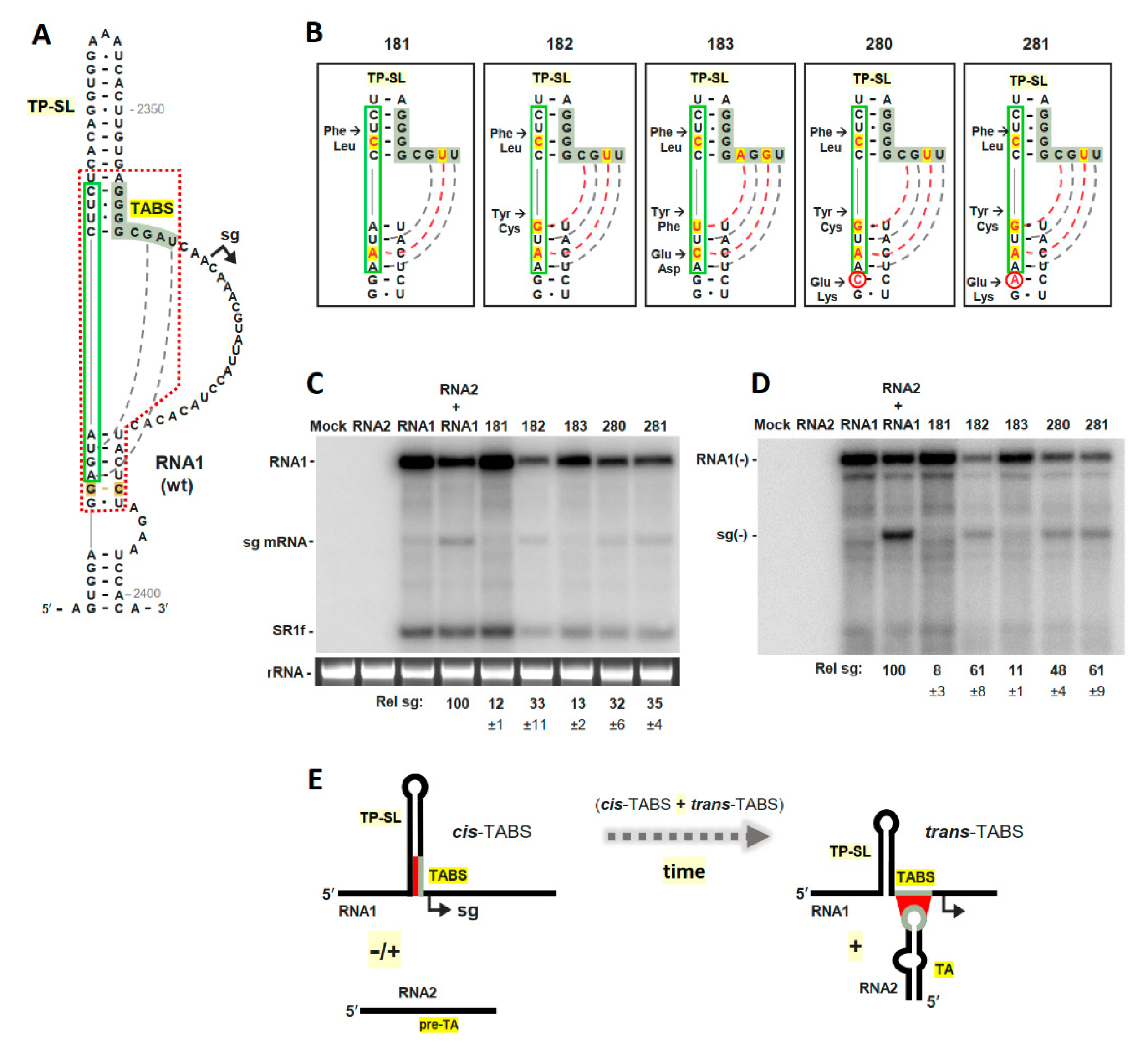 Viruses 13 02252 g004 Viruses 13 02252 g004