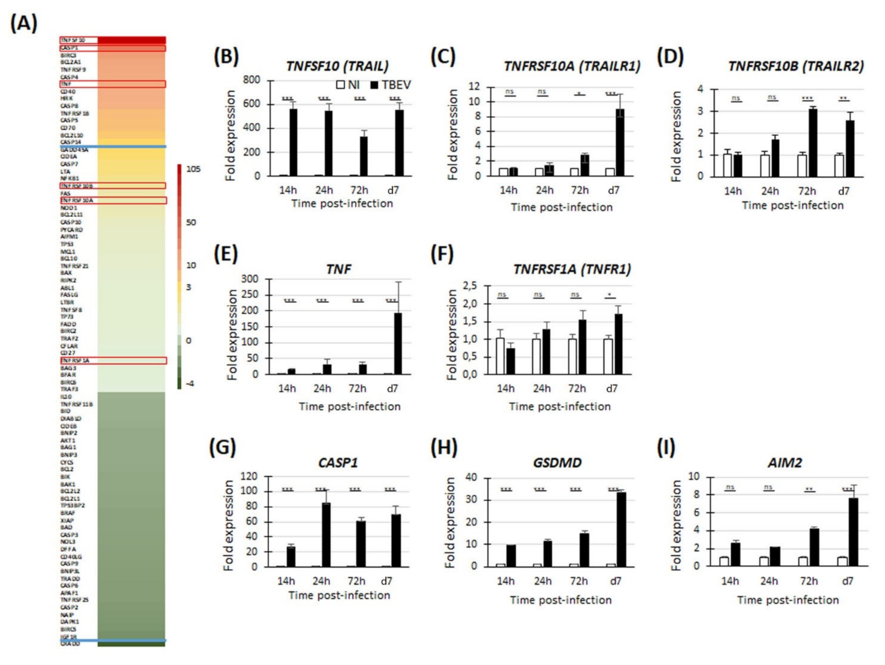 Viruses 13 02255 g002 Viruses 13 02255 g002