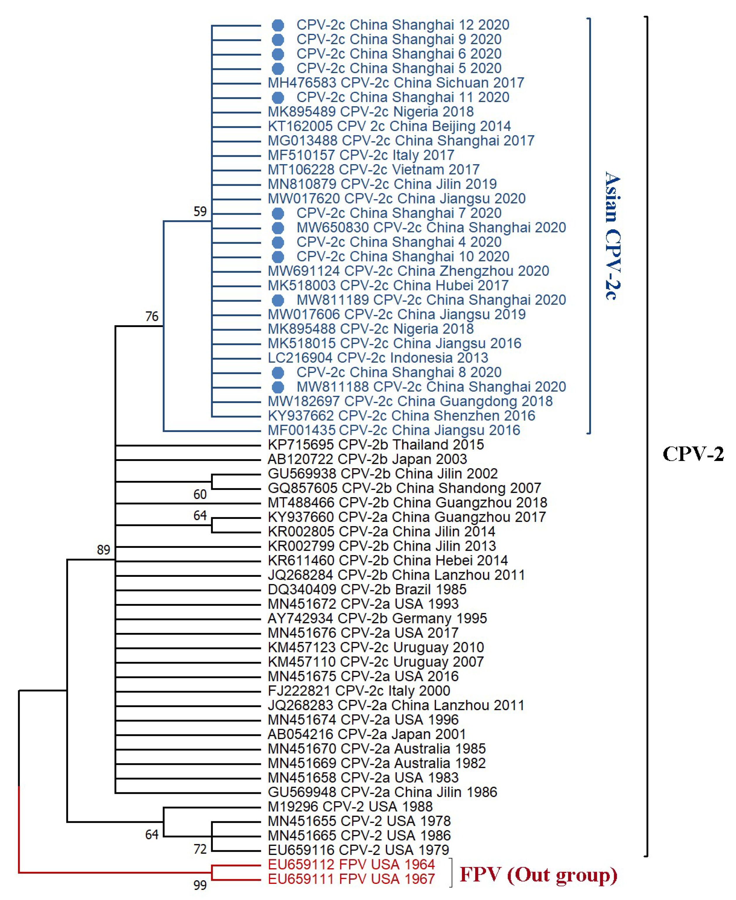Viruses 13 02257 g003