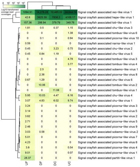 Virome Analysis of Signal Crayfish (Pacifastacus leniusculus