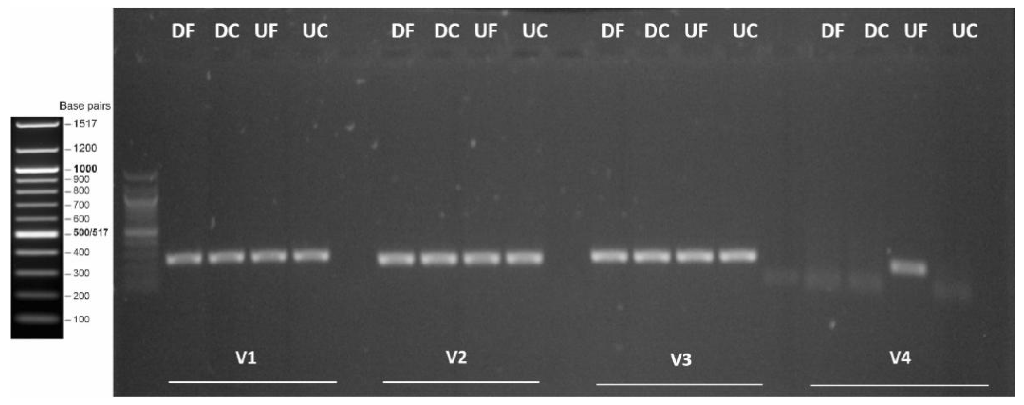 Viruses 13 02259 g003 550